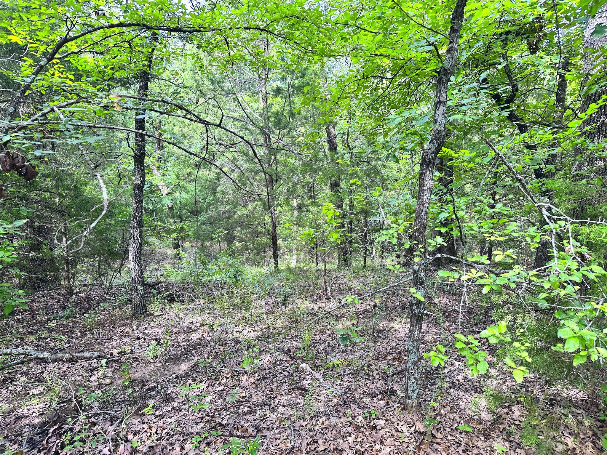 Lot 35 & 36 ABC Pelican Point