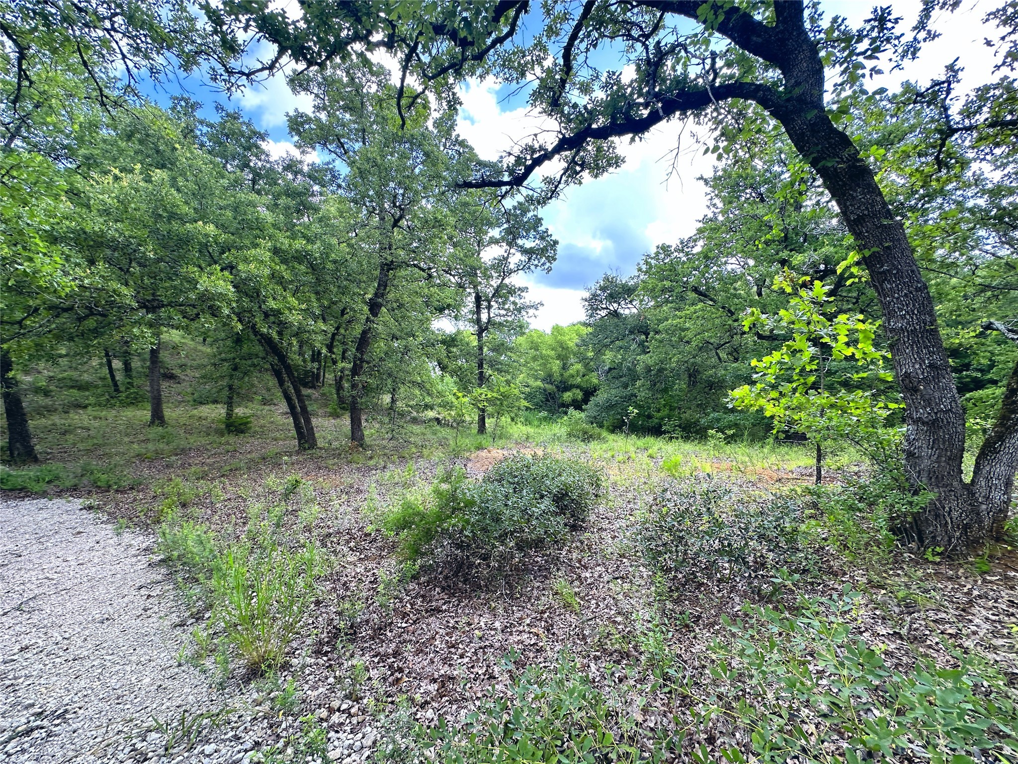 Lot 35 & 36 ABC Pelican Point