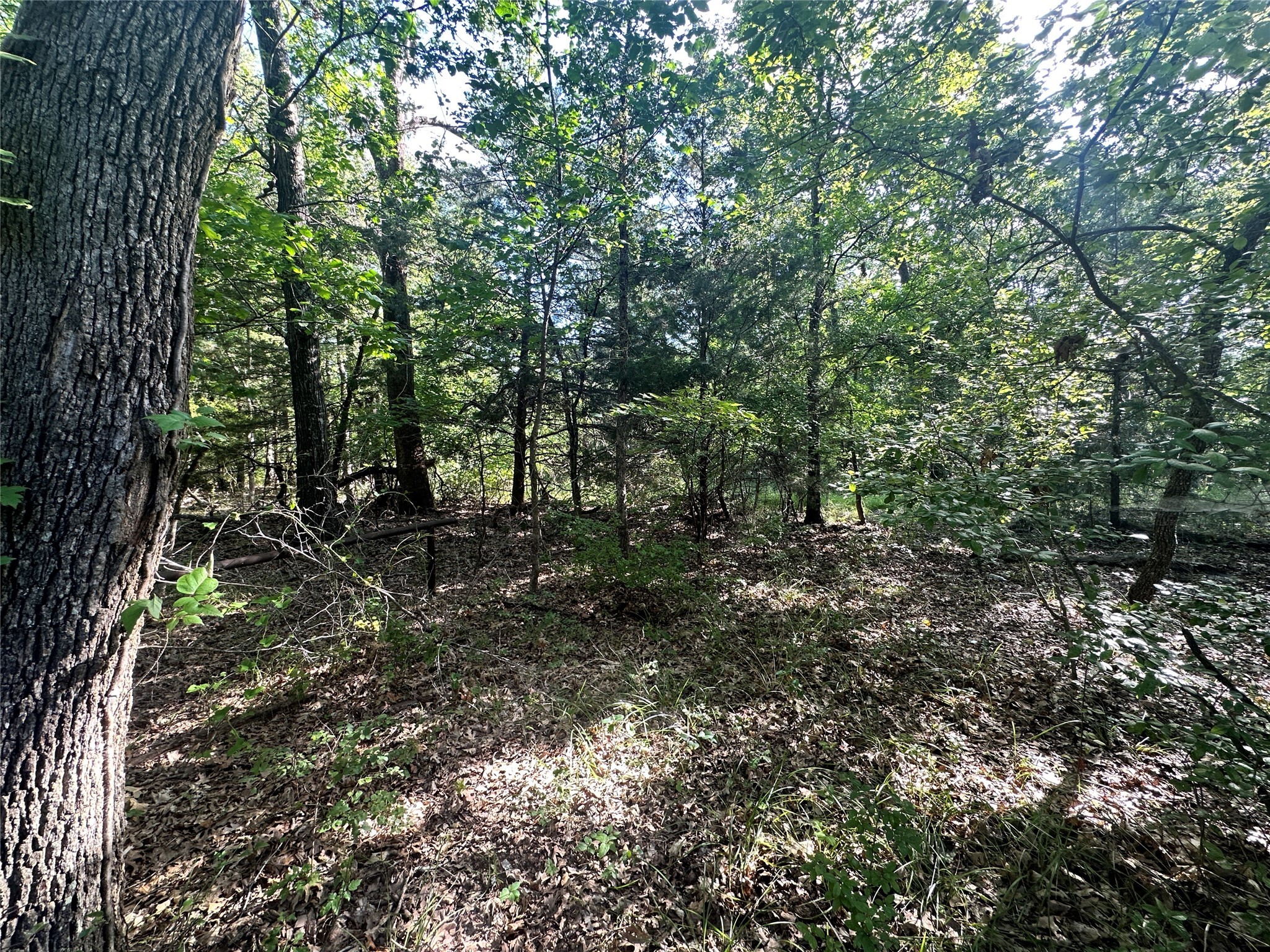 Lot 33 & 34 Pelican Circle
