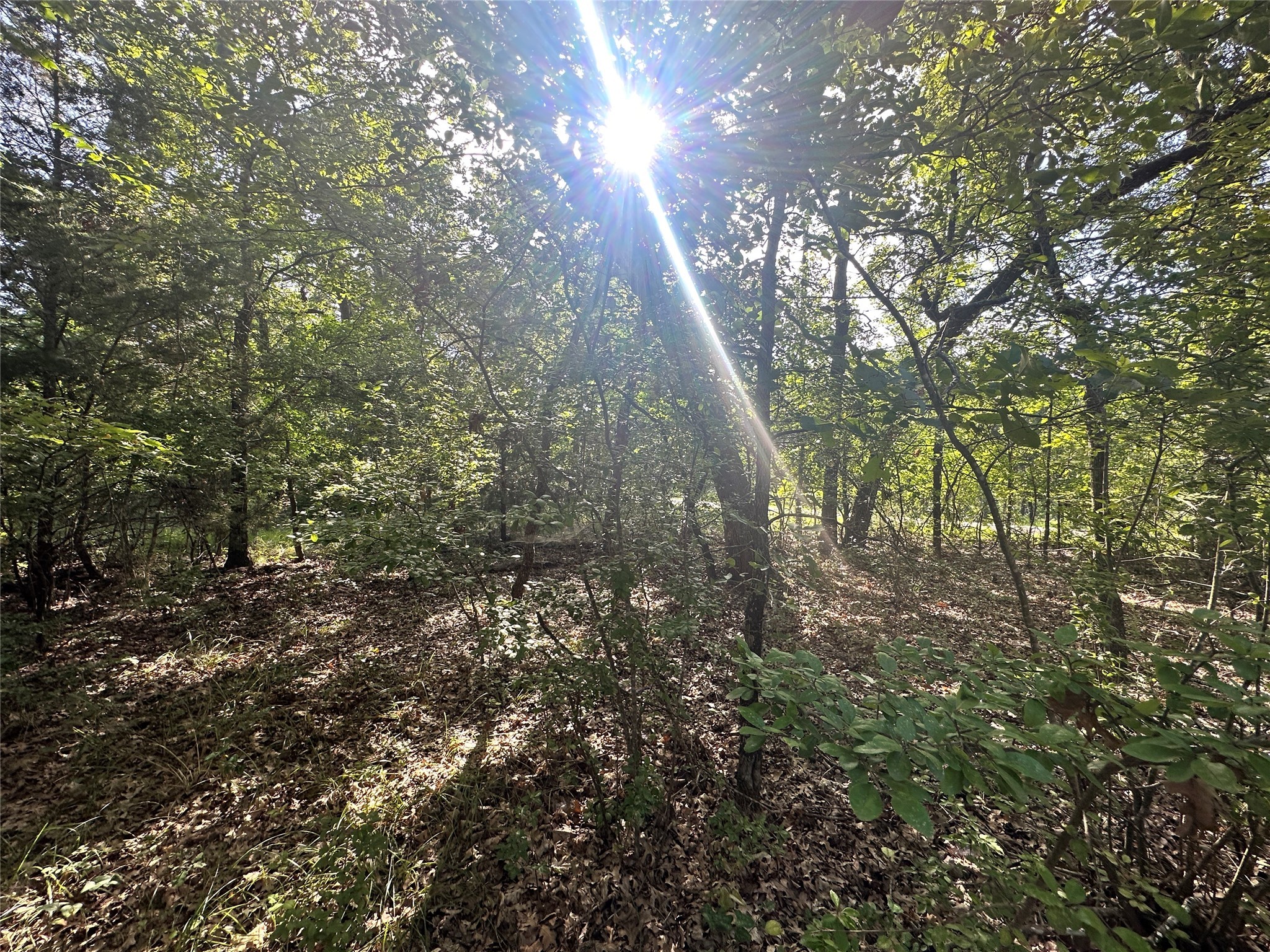 Lot 33 & 34 Pelican Circle