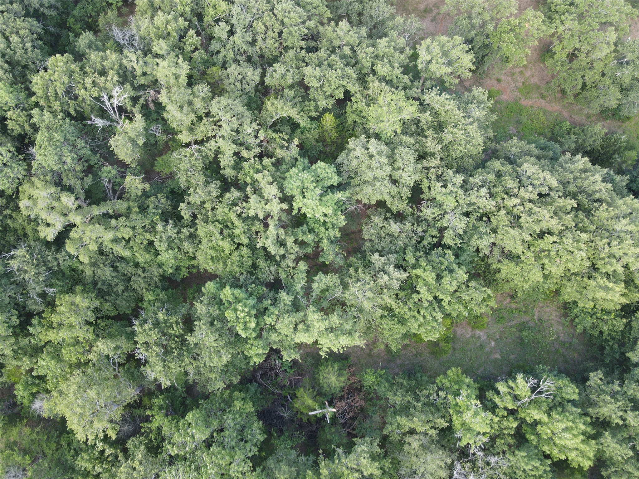 Lot 33 & 34 Pelican Circle