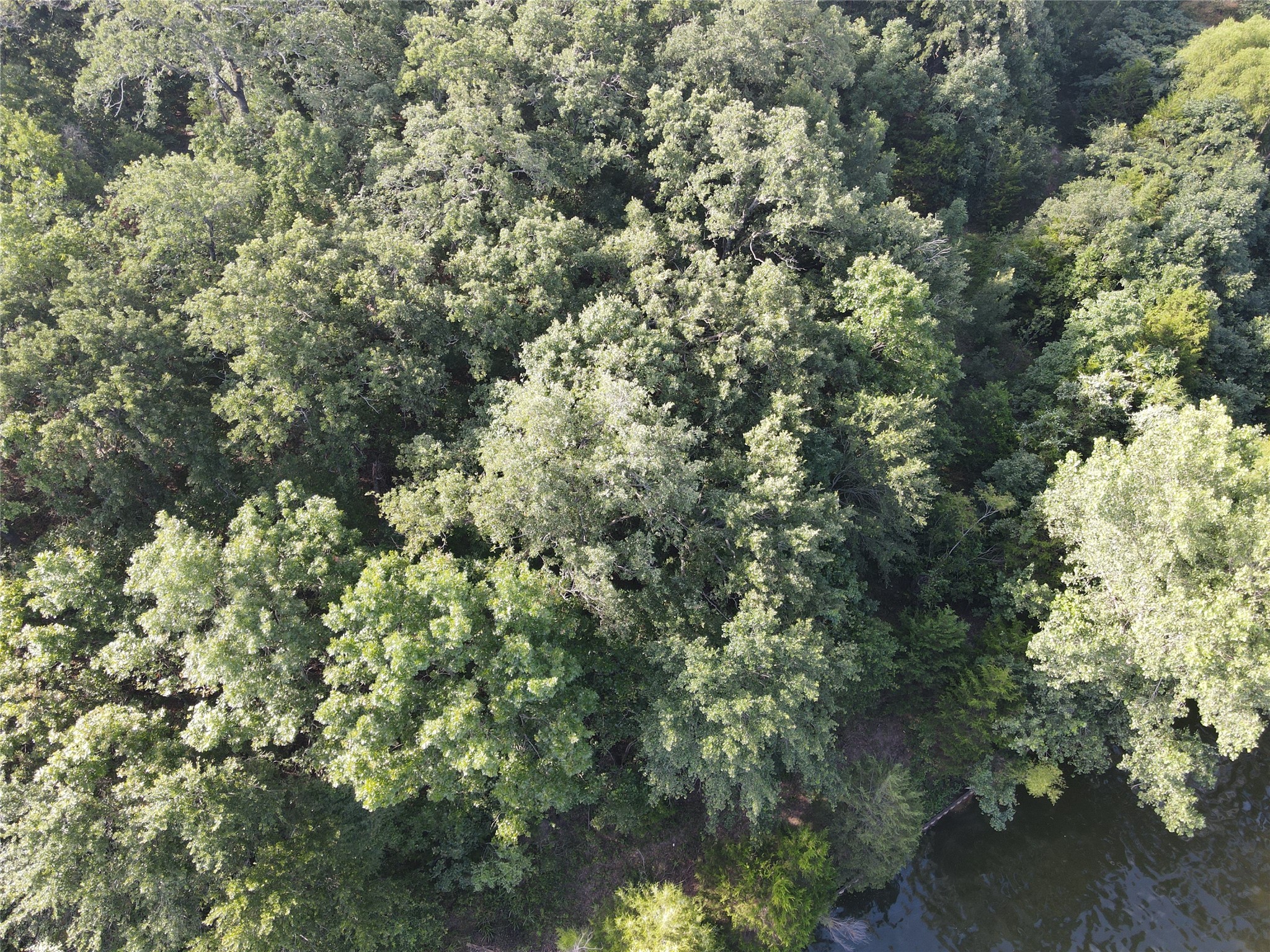 Lot 33 & 34 Pelican Circle