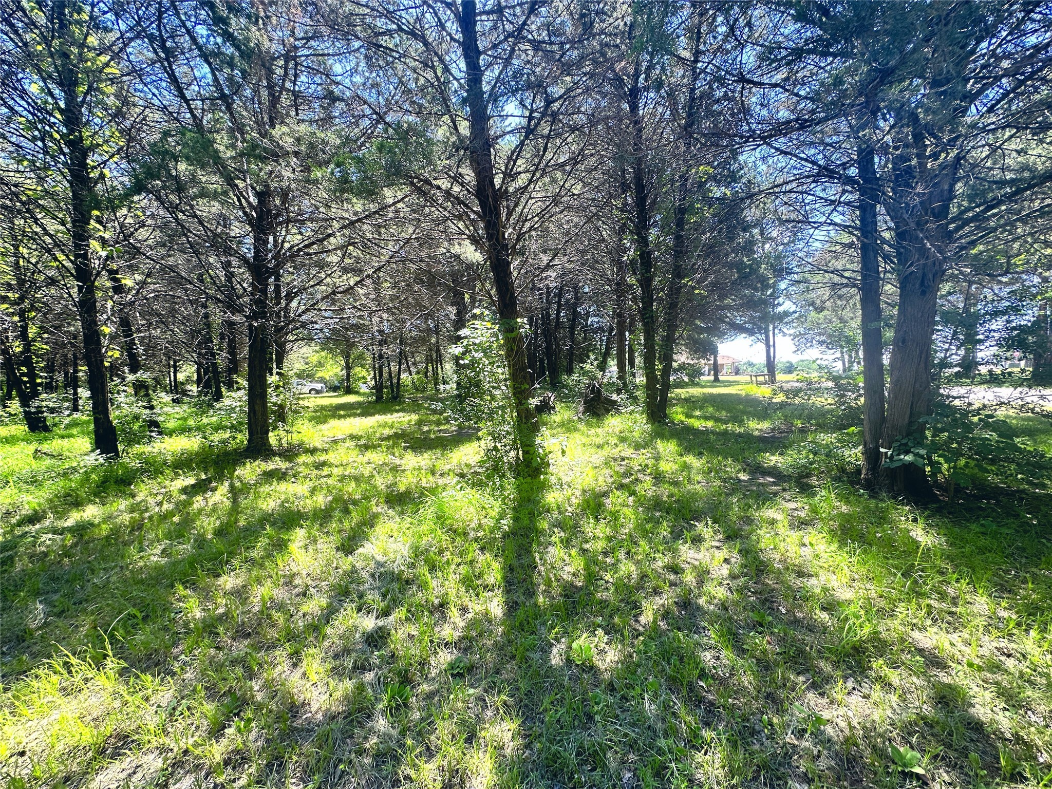 Lot 491 Donzi Court