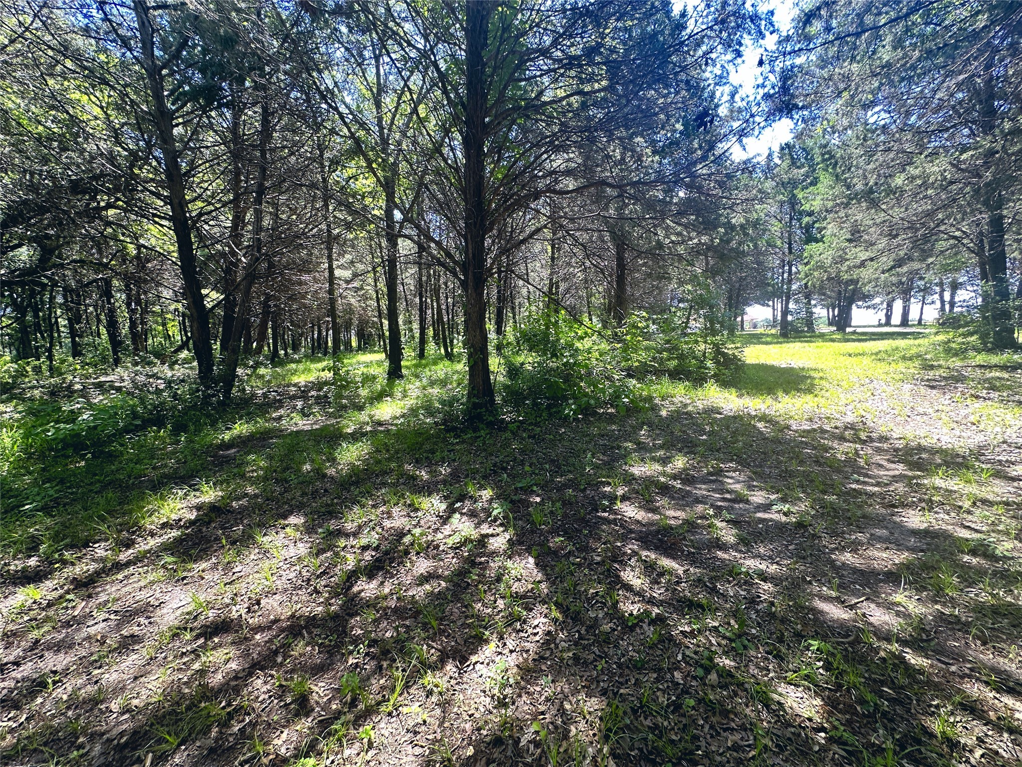 Lot 491 Donzi Court
