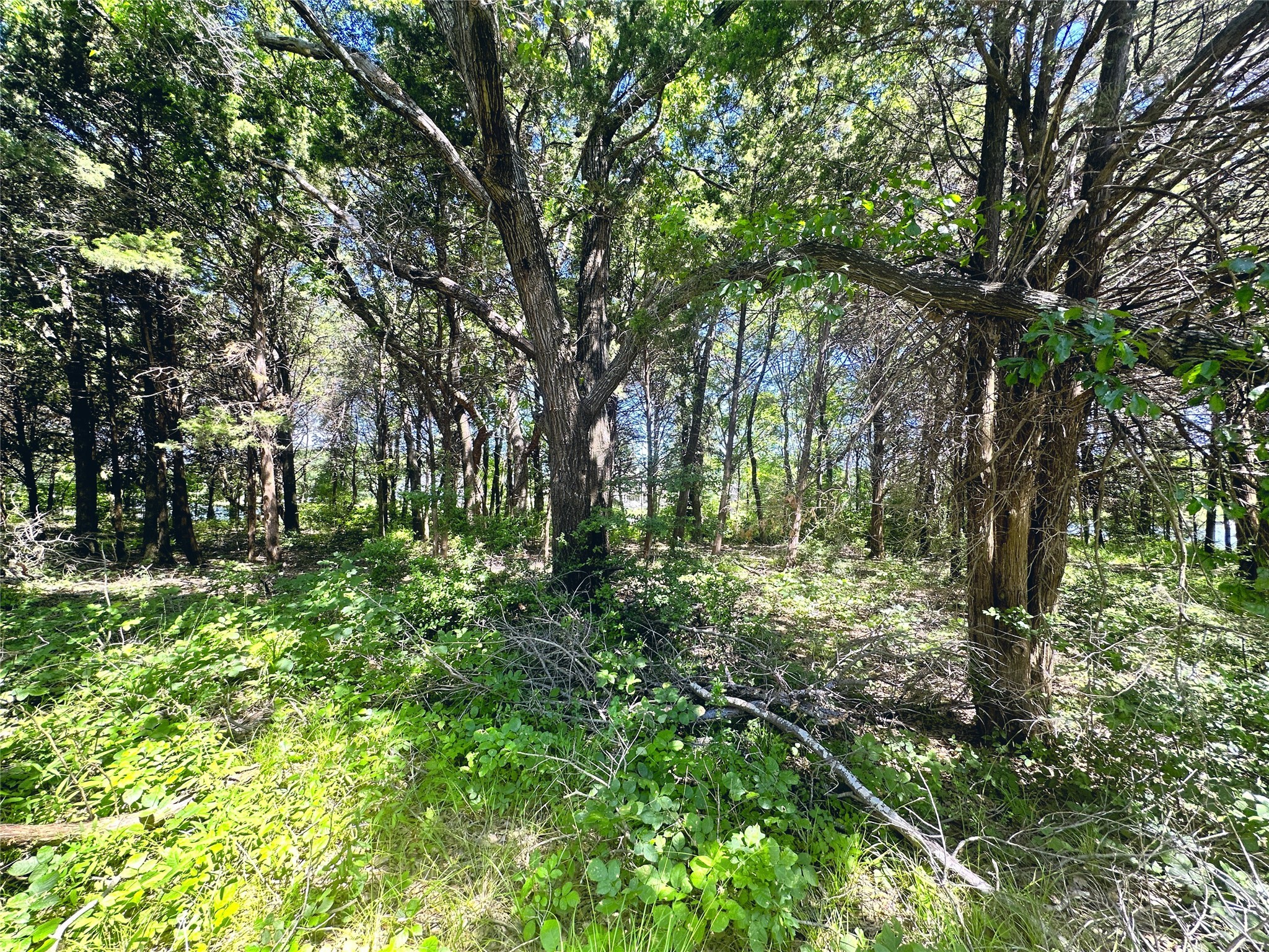 Lot 491 Donzi Court