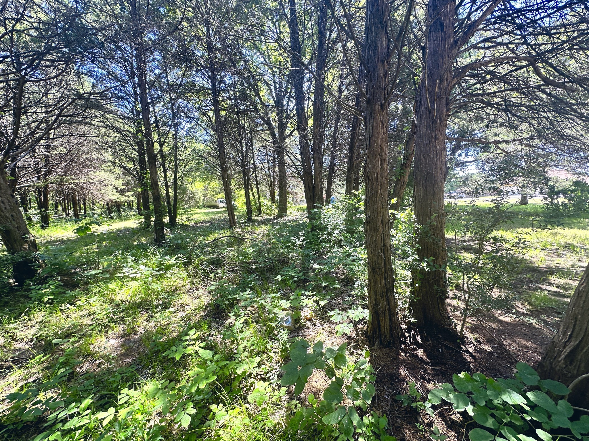 Lot 491 Donzi Court