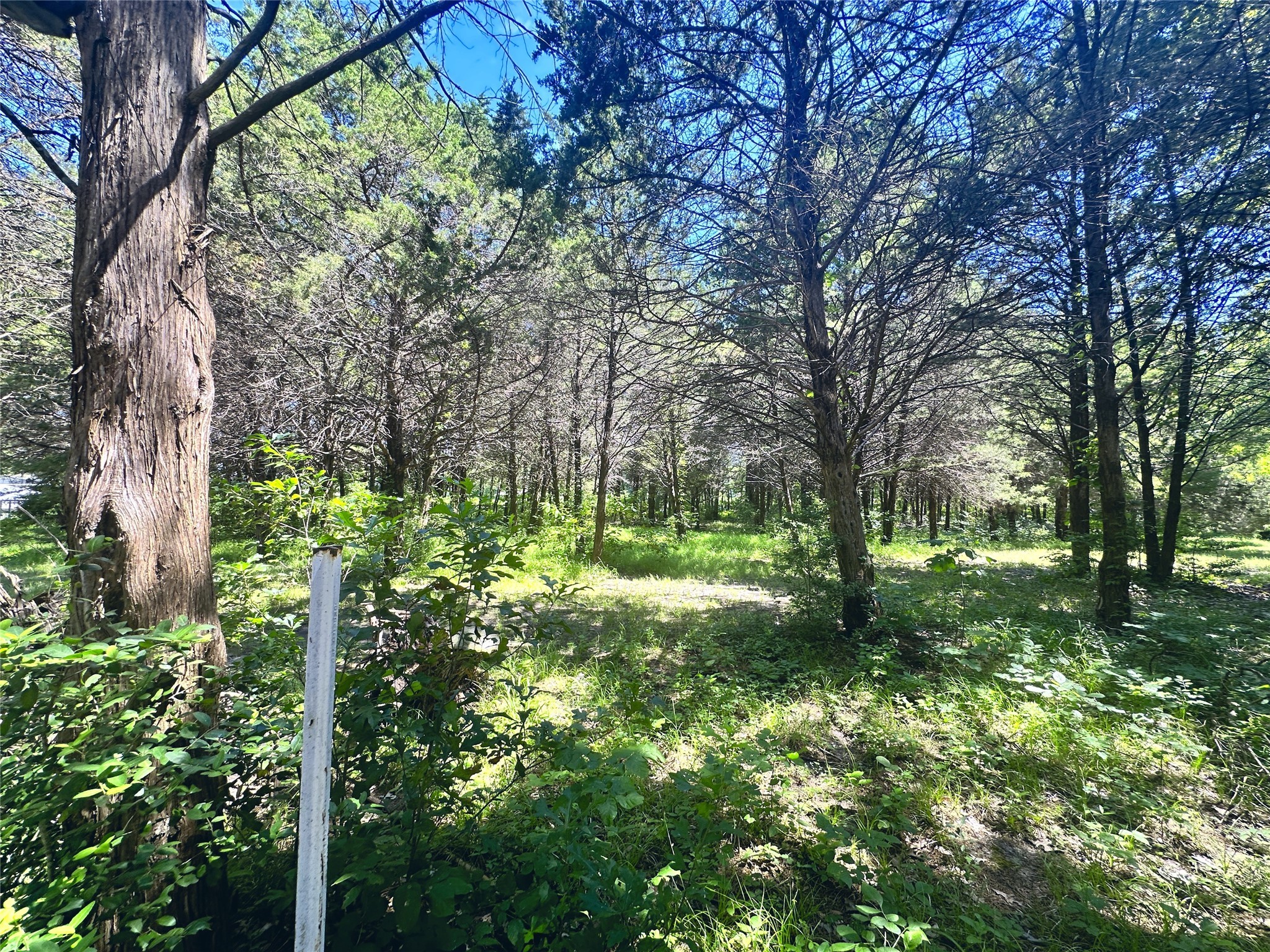 Lot 491 Donzi Court