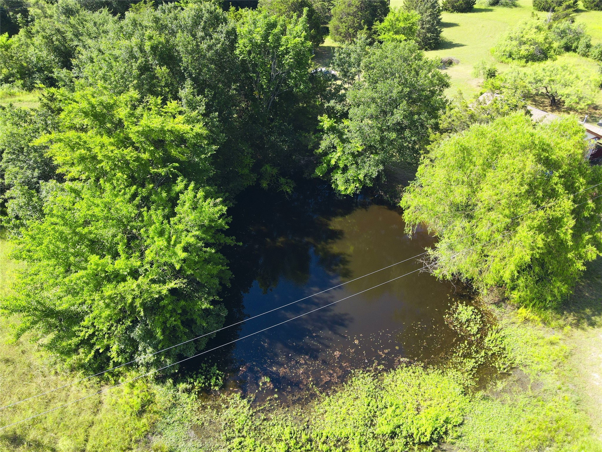 1910 County Road 2230