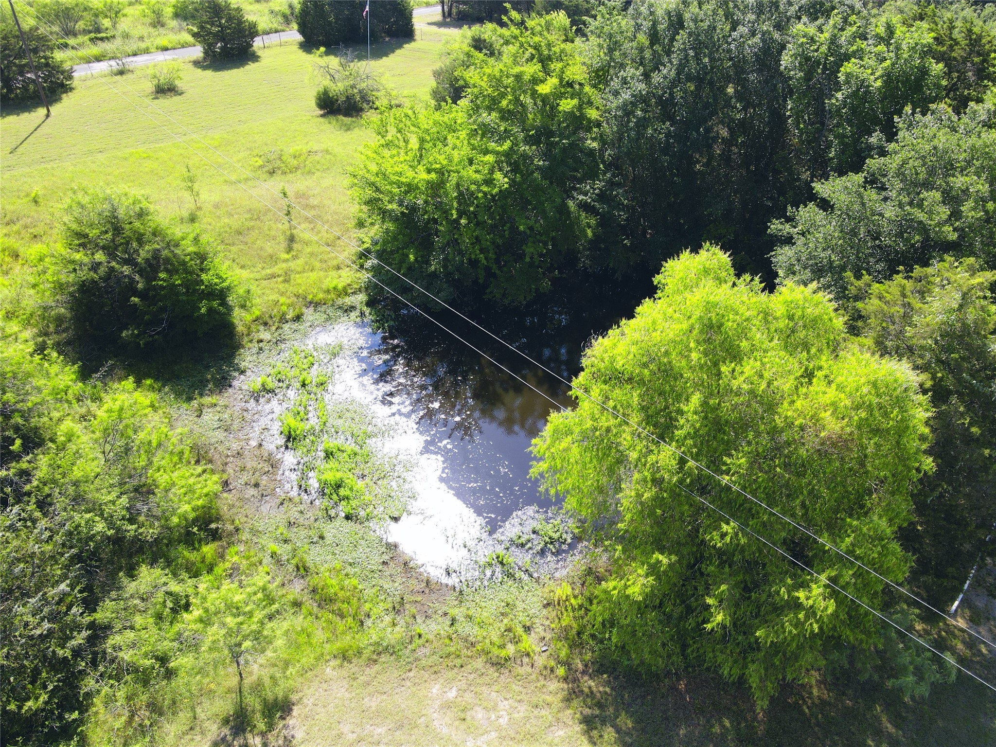 1910 County Road 2230
