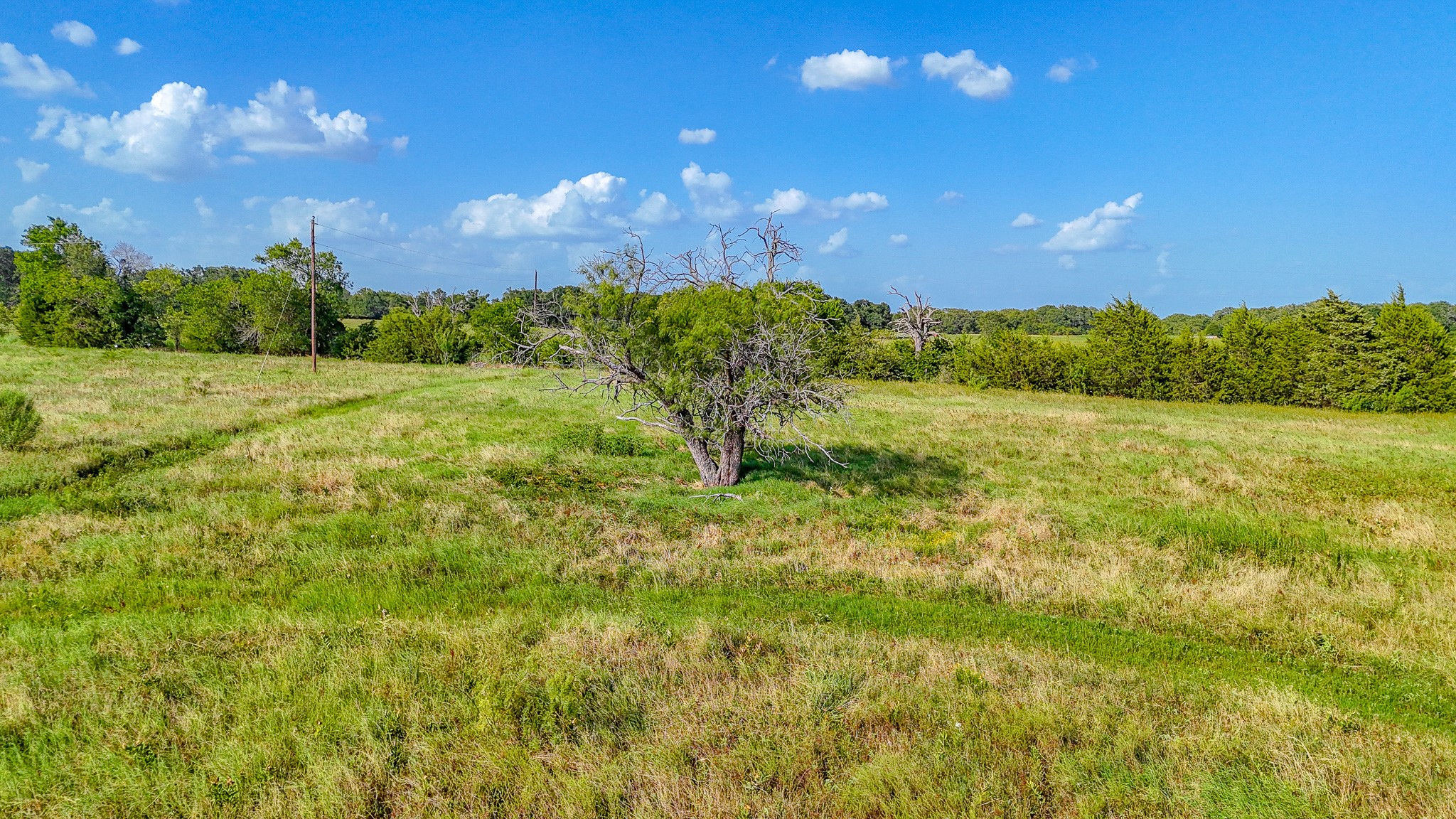16635 County Road 3010