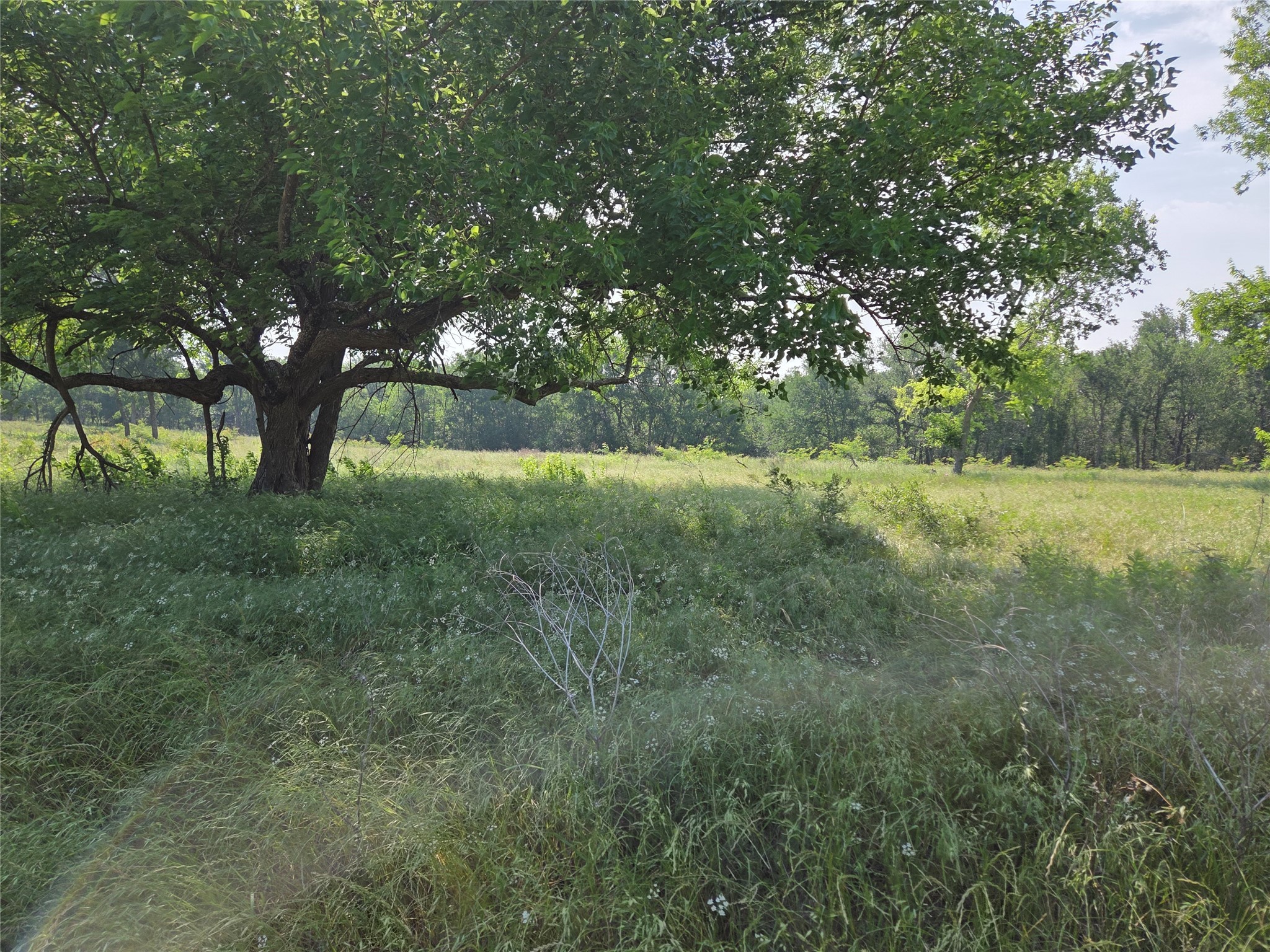 Lot 28 Sunrise Trail