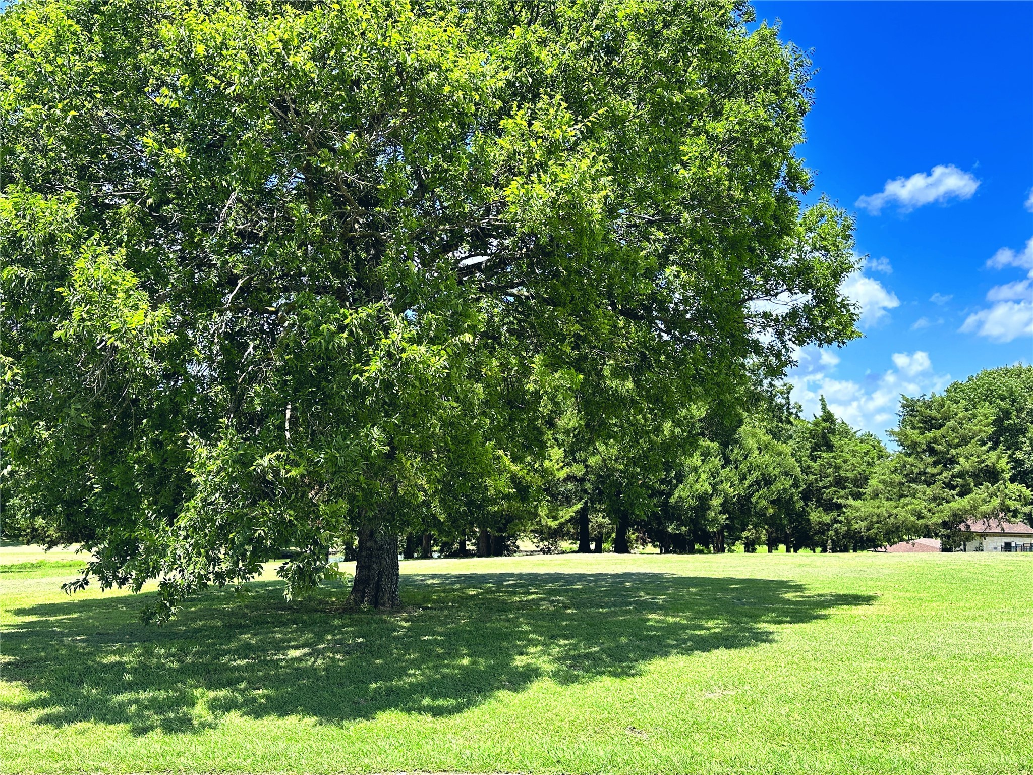 Lot 12 Sunset Lane