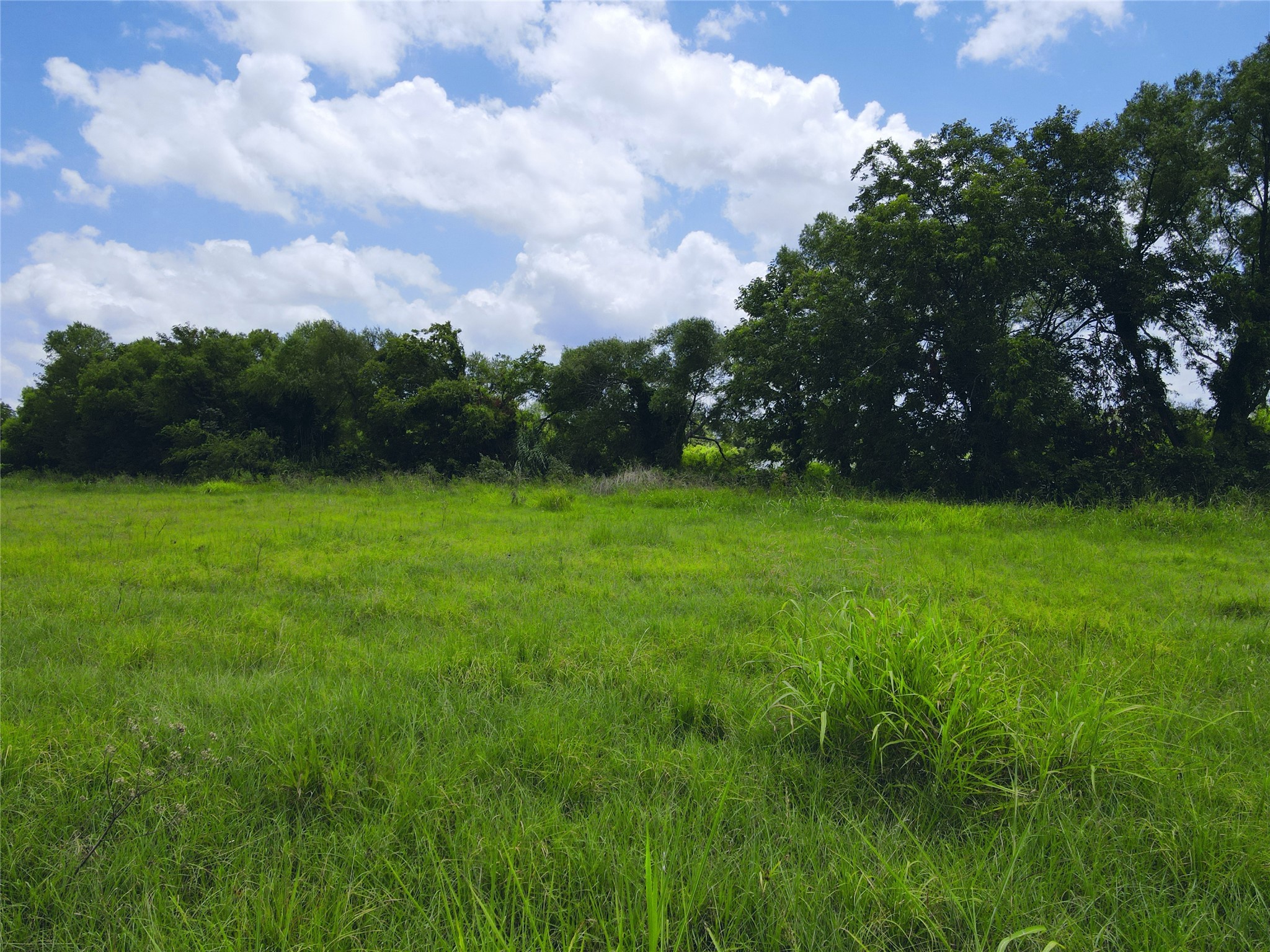 Lot 4 Oasis Drive