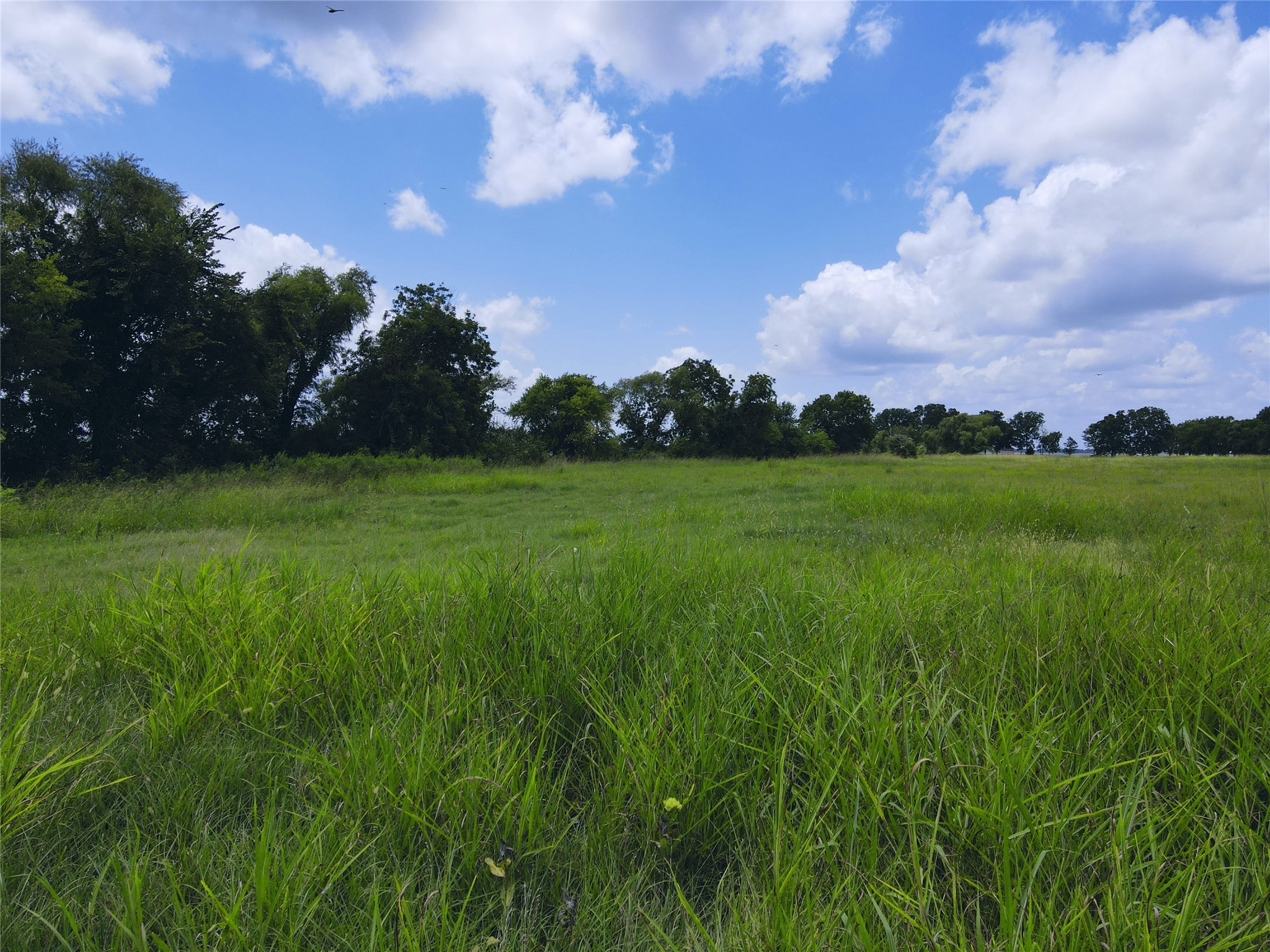 Lot 4 Oasis Drive