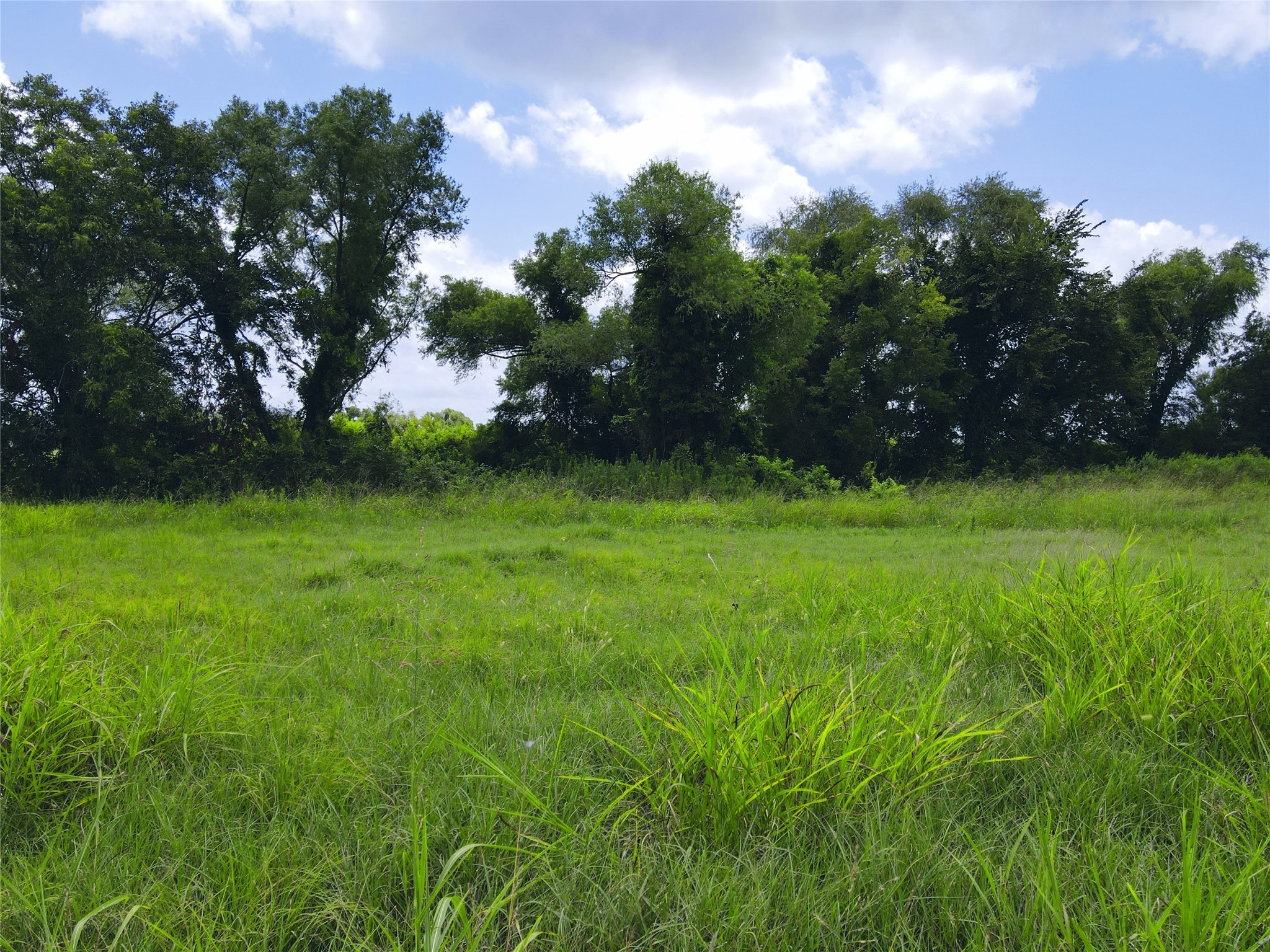Lot 4 Oasis Drive