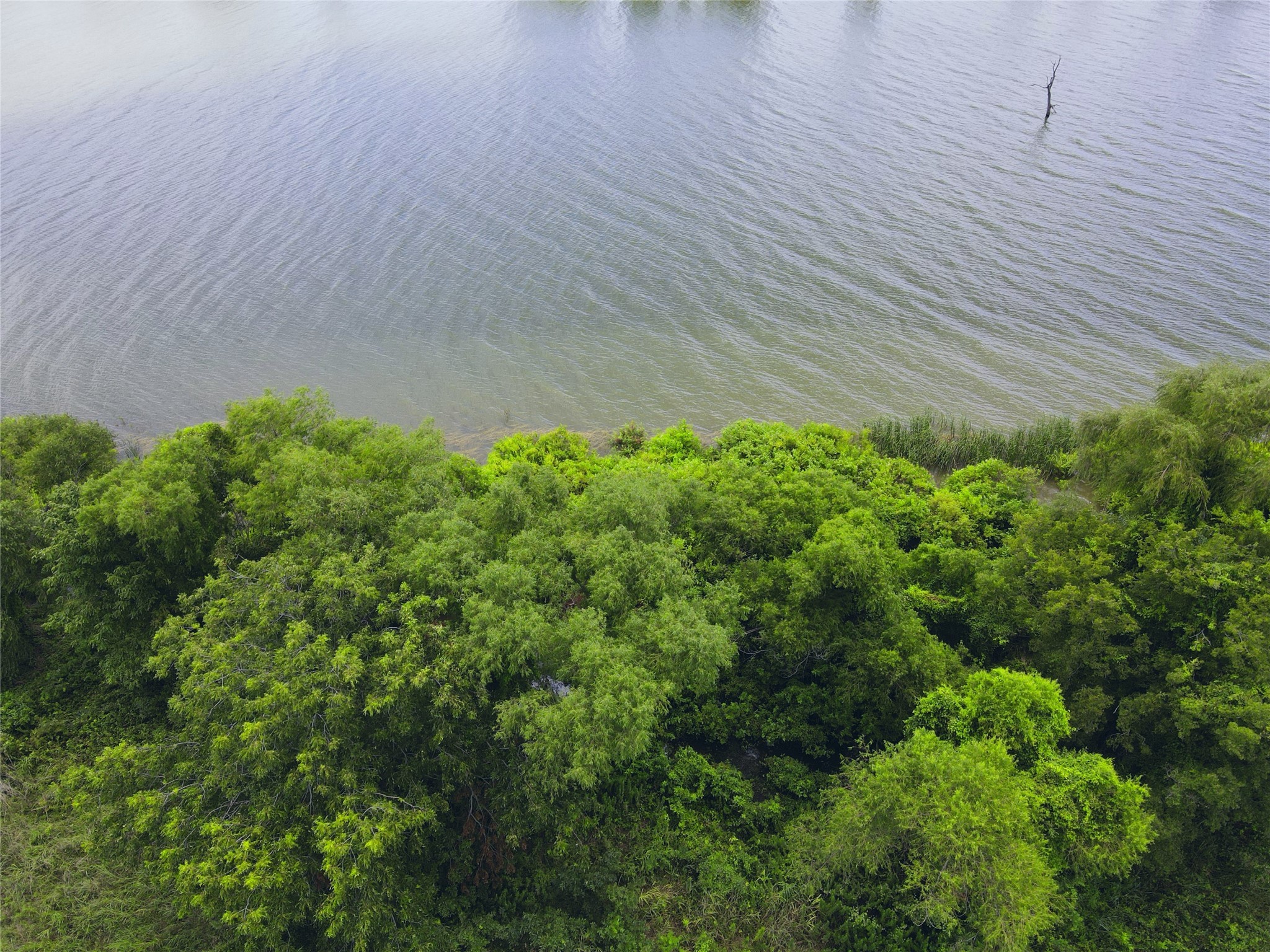Lot 4 Oasis Drive