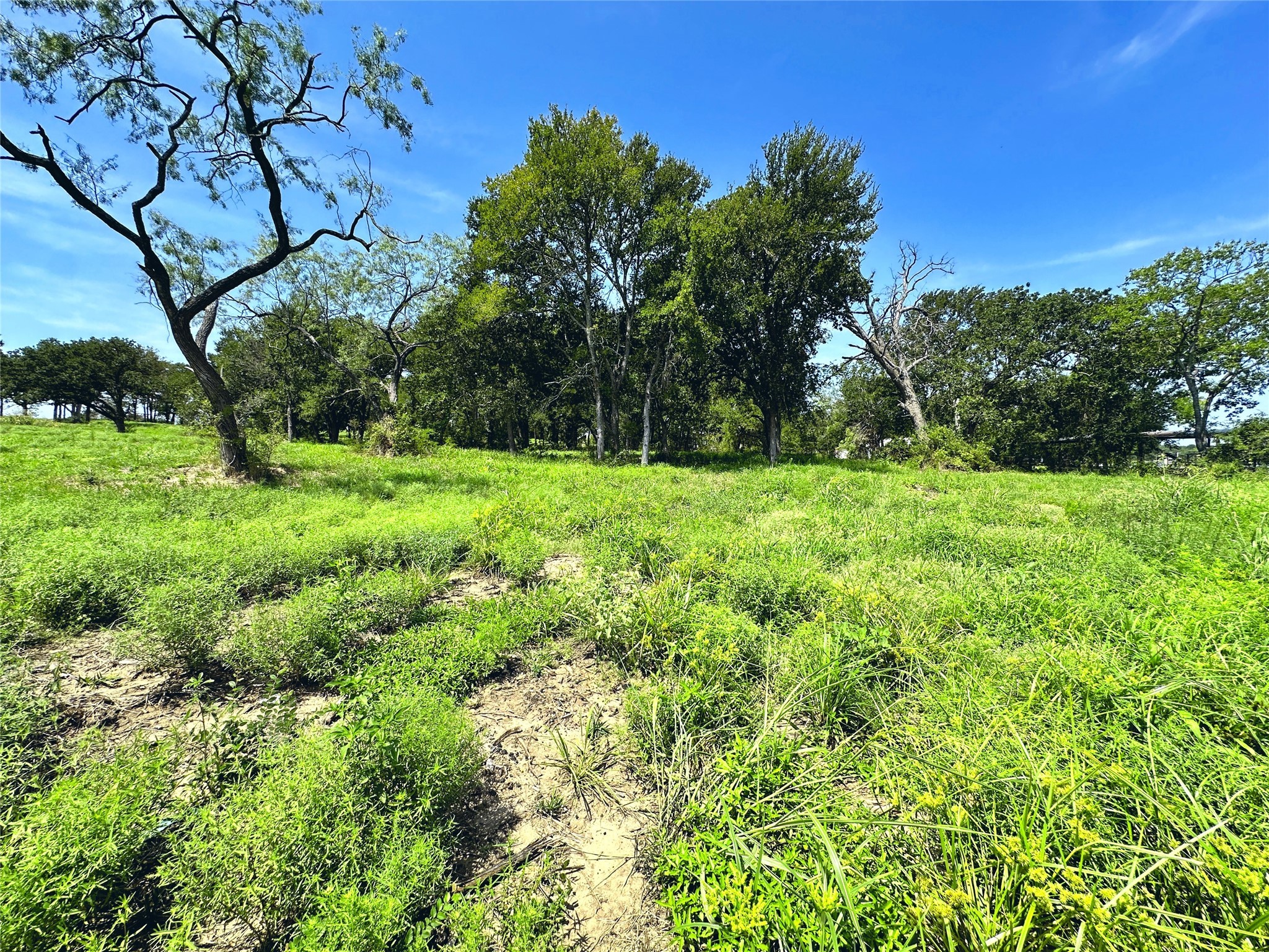 Lot 6 Carmel Valley