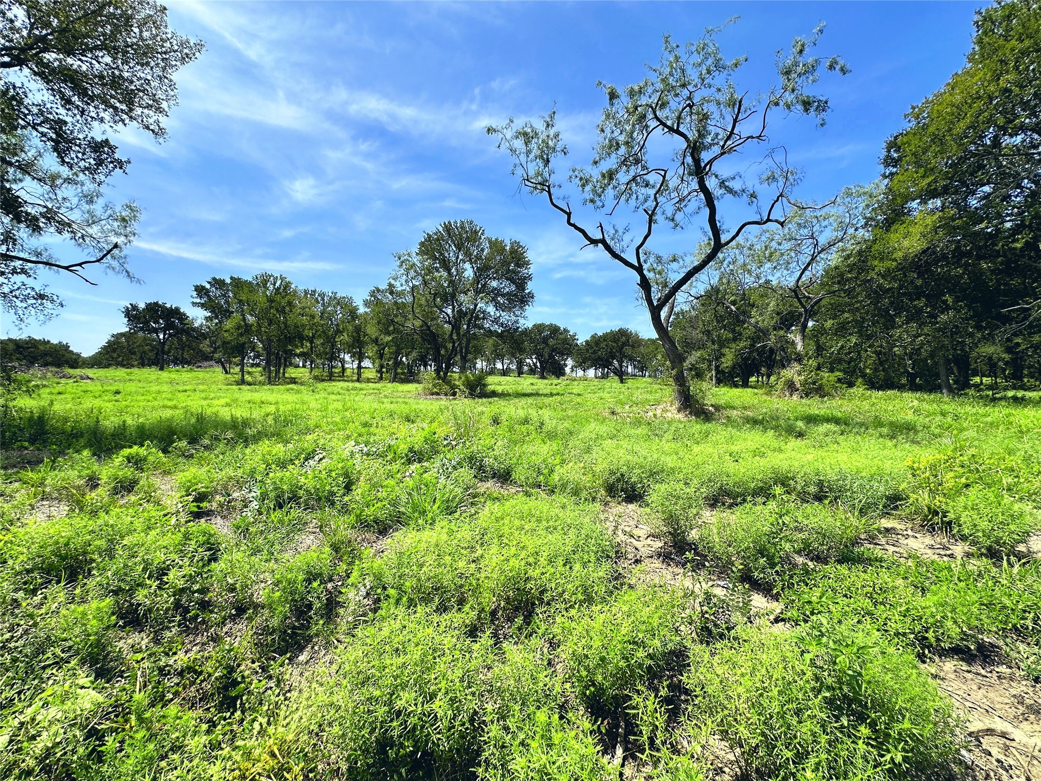 Lot 6 Carmel Valley