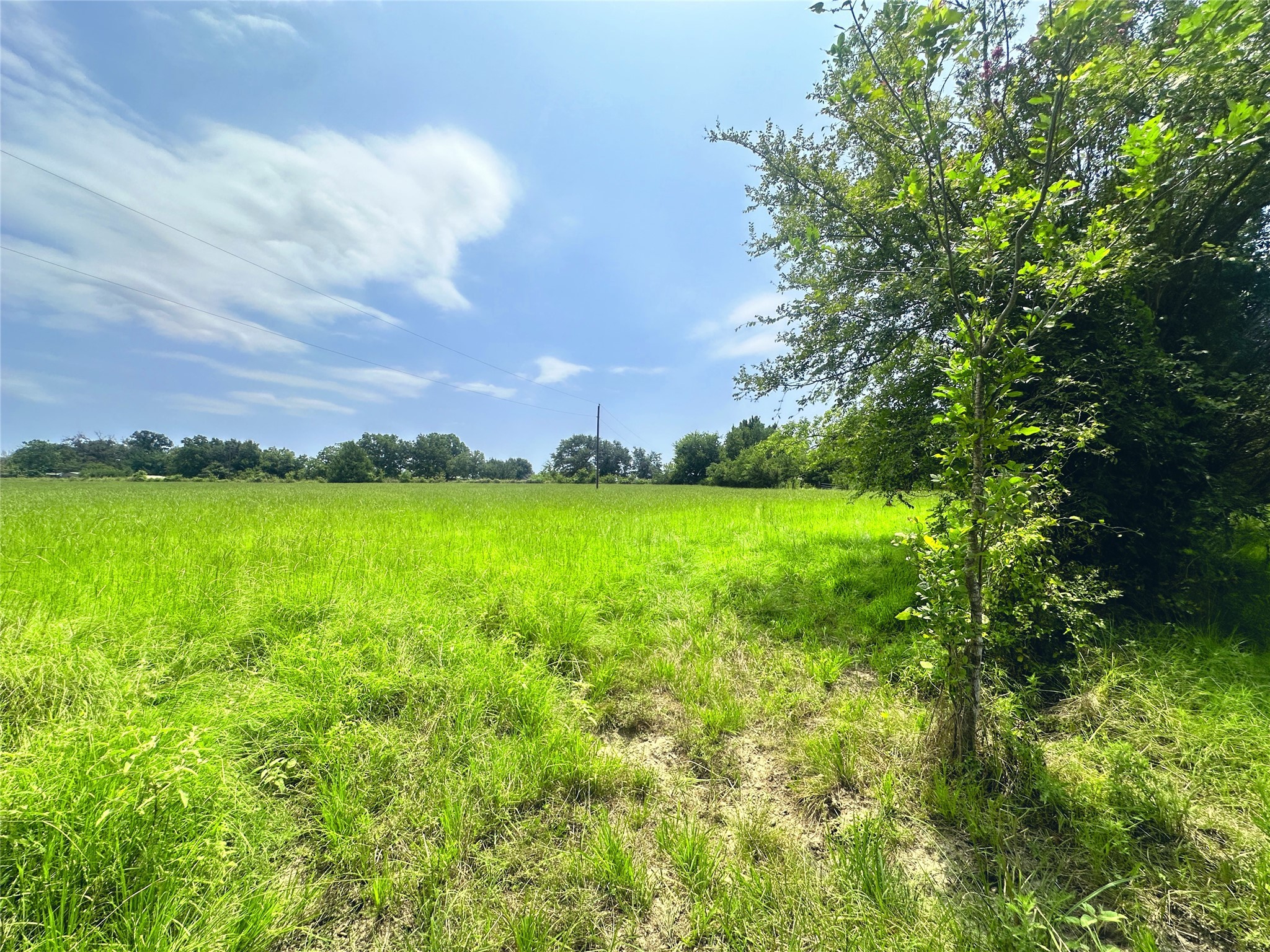 14229 SE County Road 4250