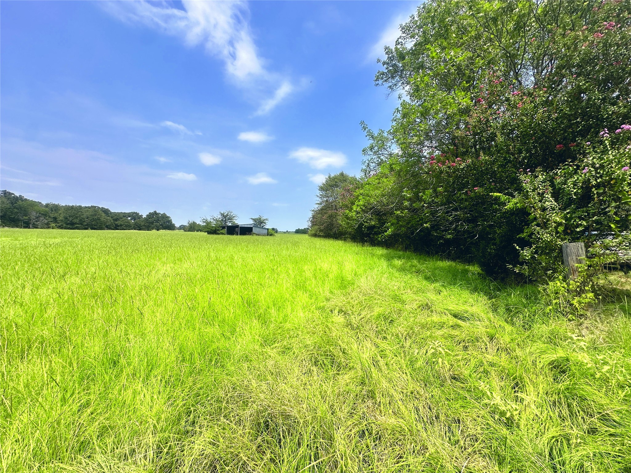 14229 SE County Road 4250