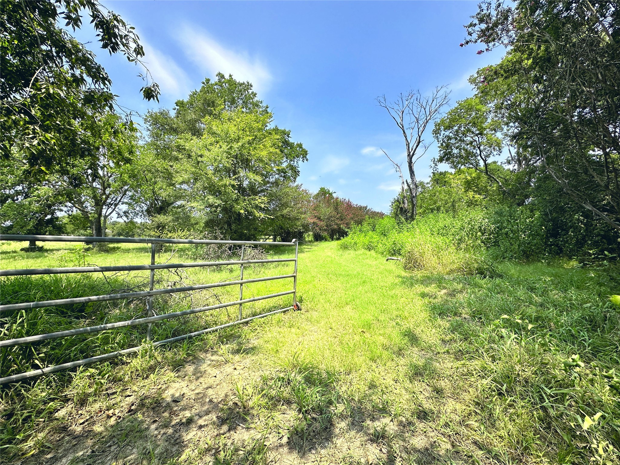 14229 SE County Road 4250