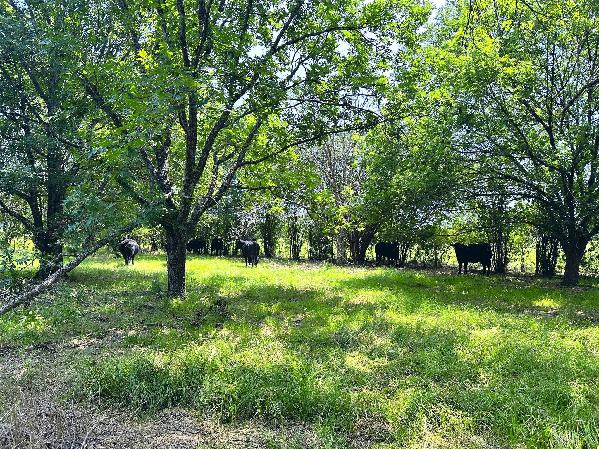 14229 SE County Road 4250