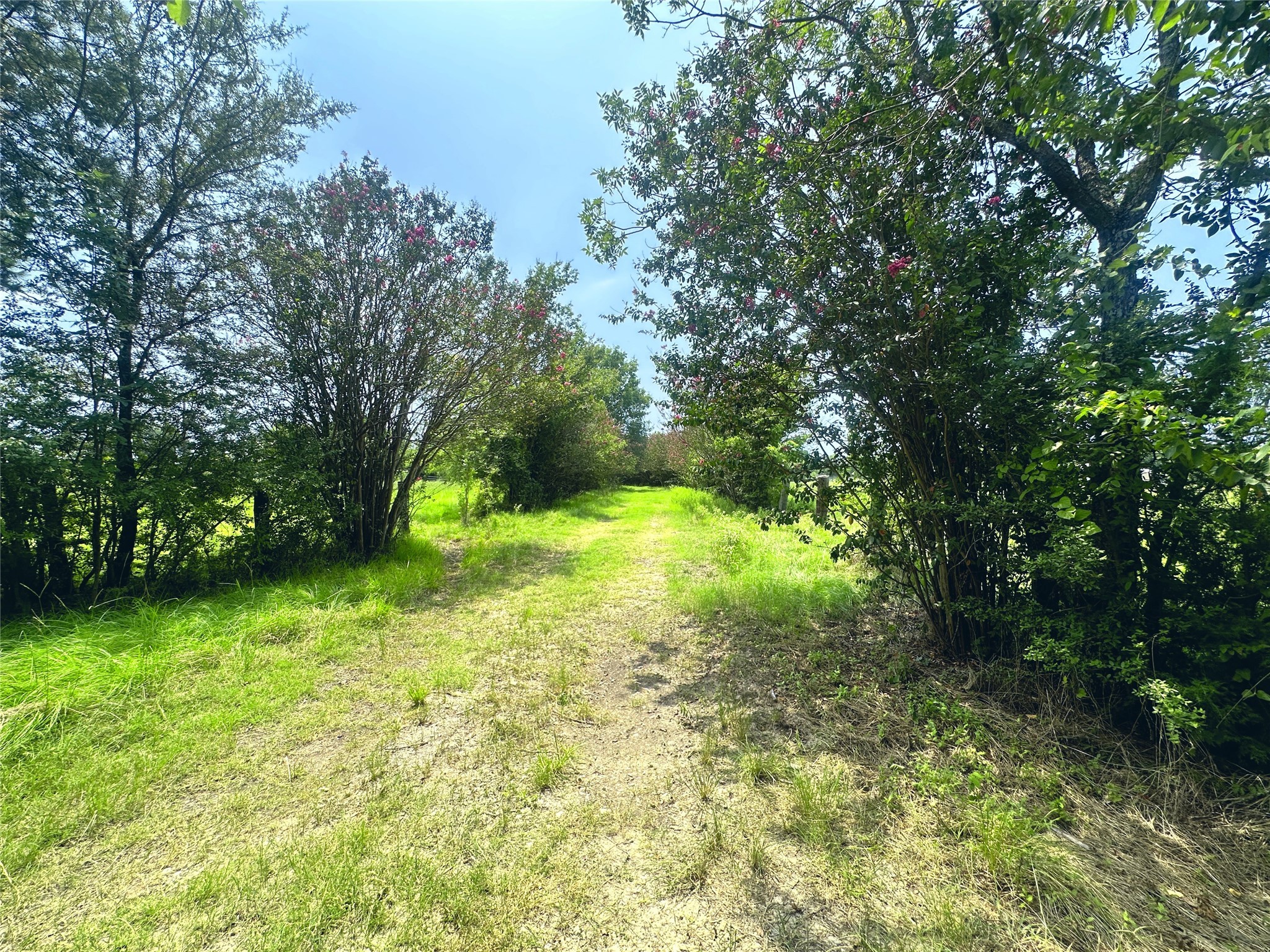 14229 SE County Road 4250