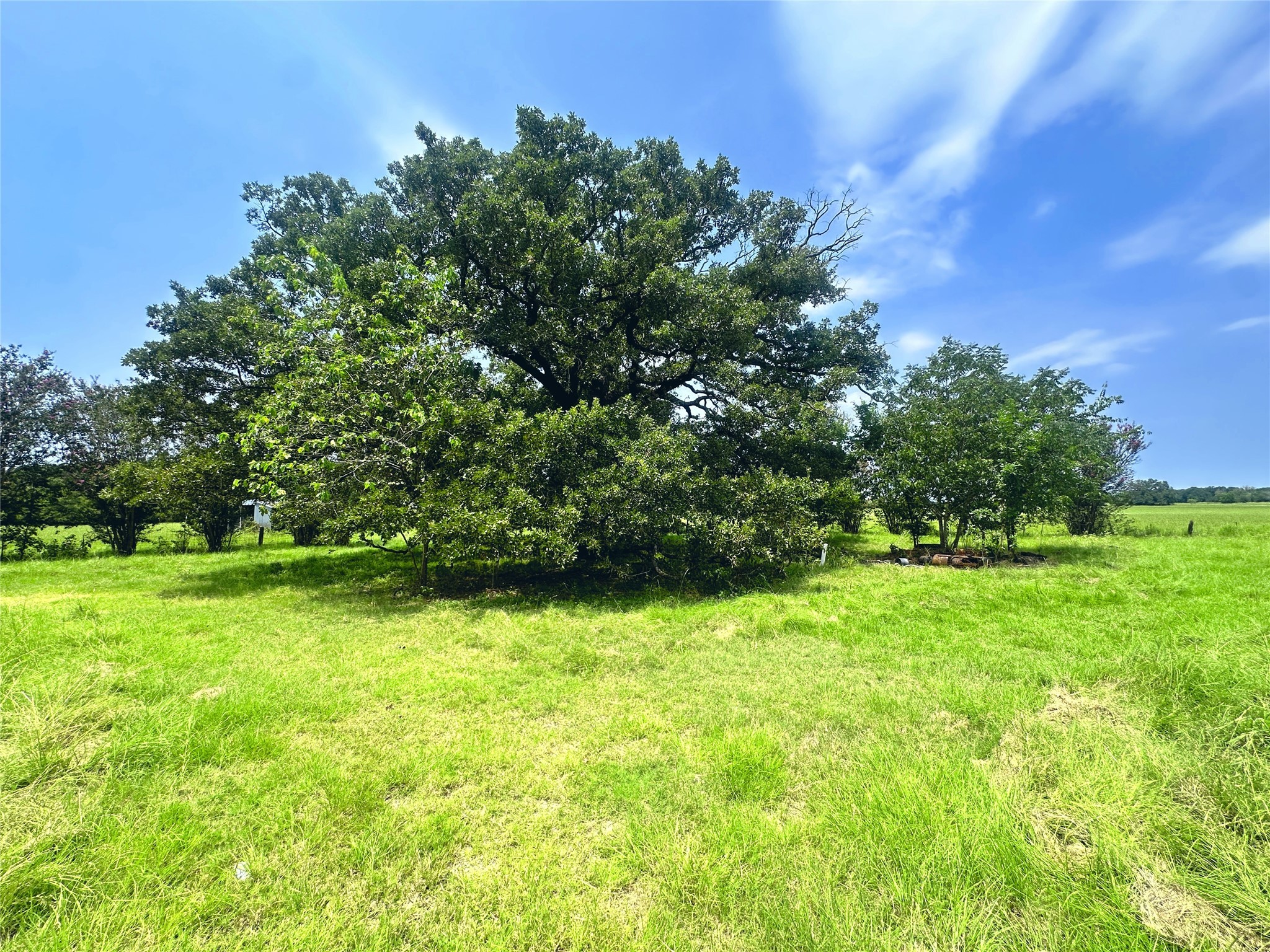 14229 SE County Road 4250