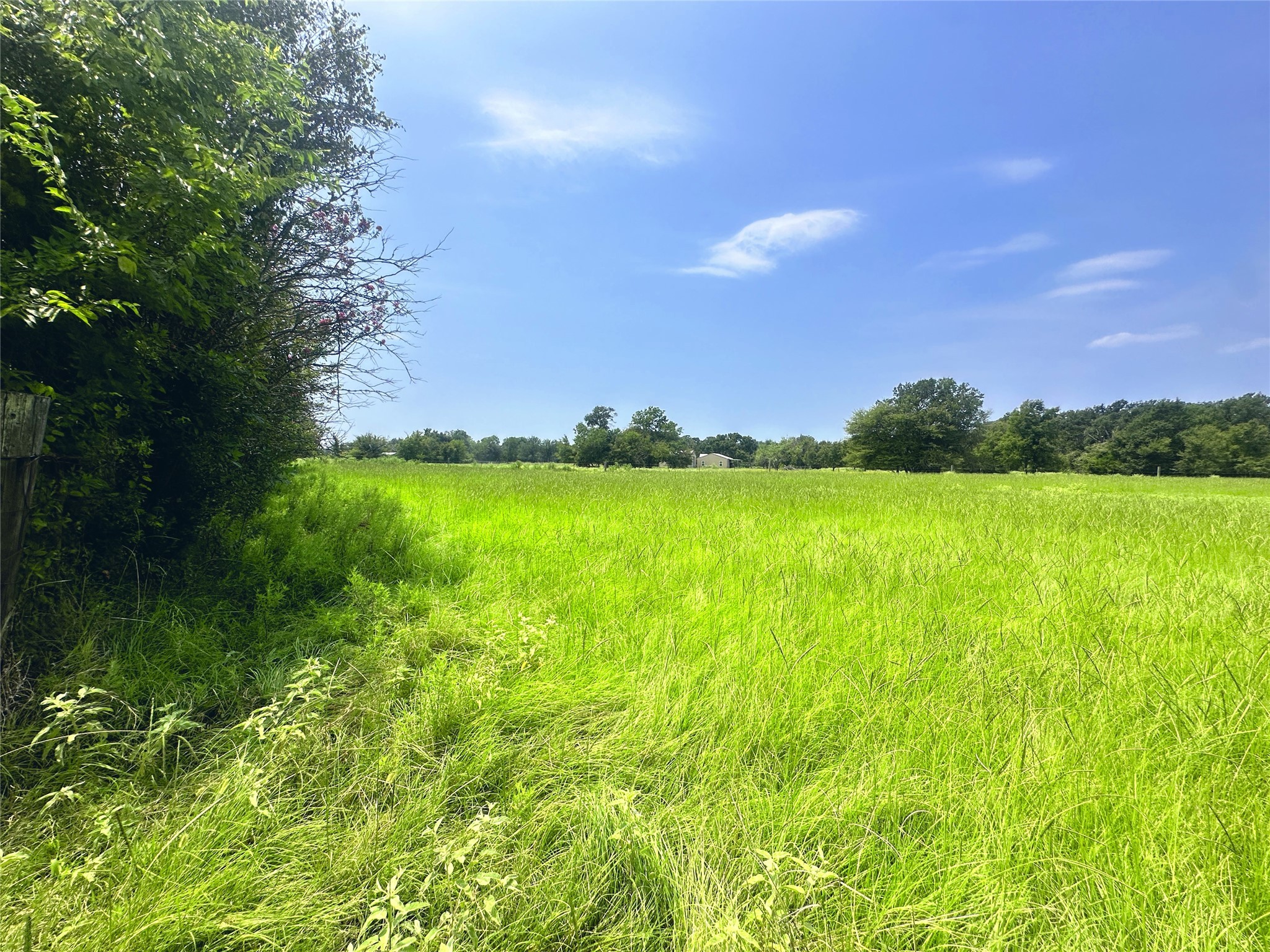 14229 SE County Road 4250