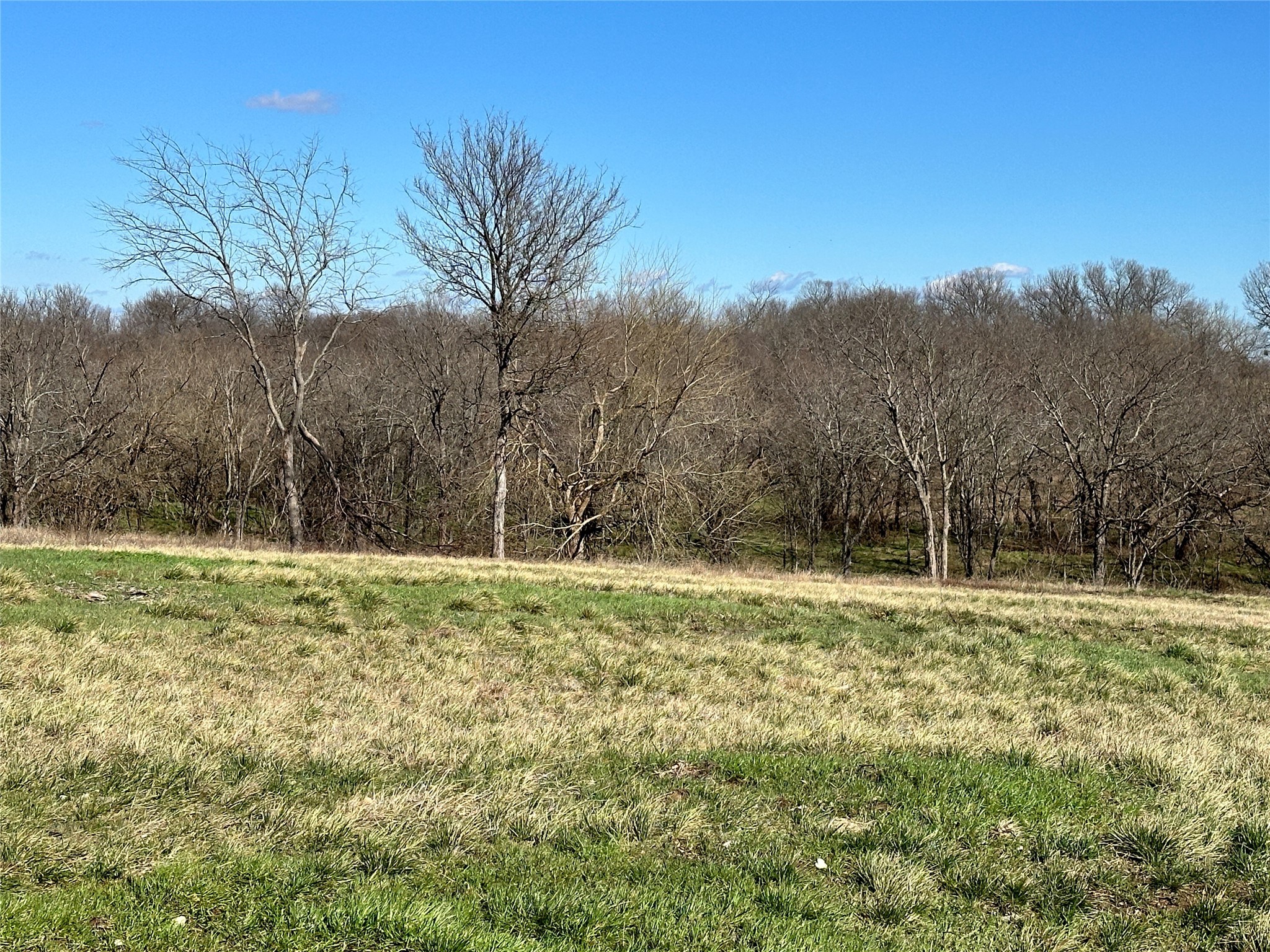 Lot 72 Shoreside Drive