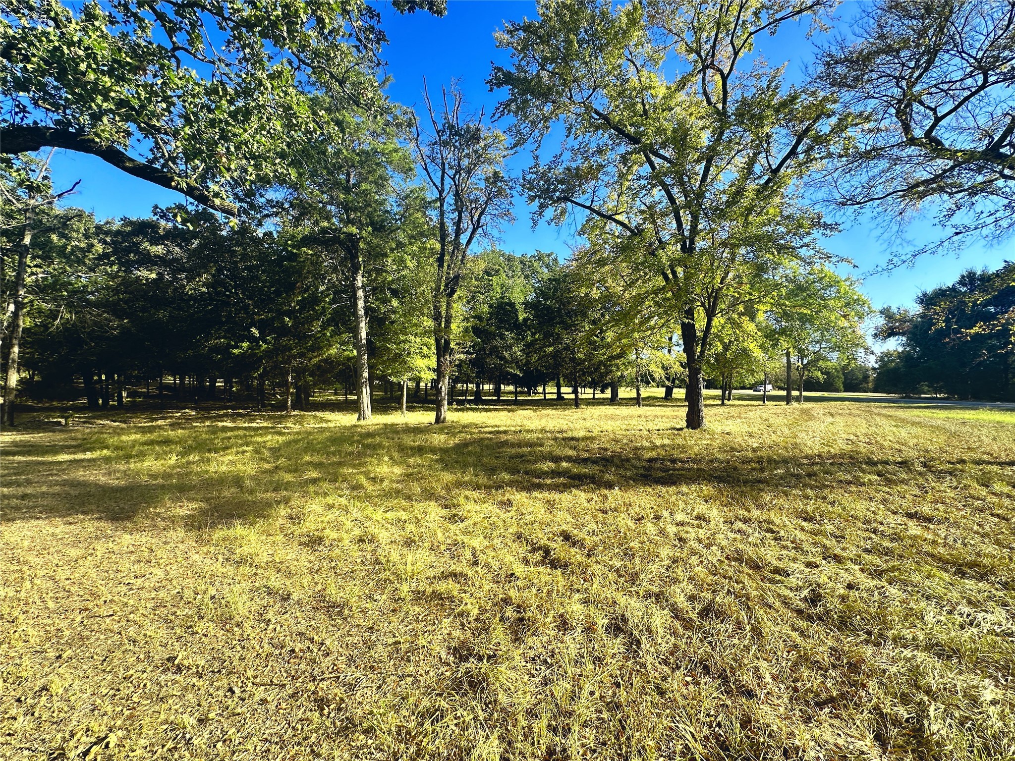 Lot 65 Sombrilla Lane