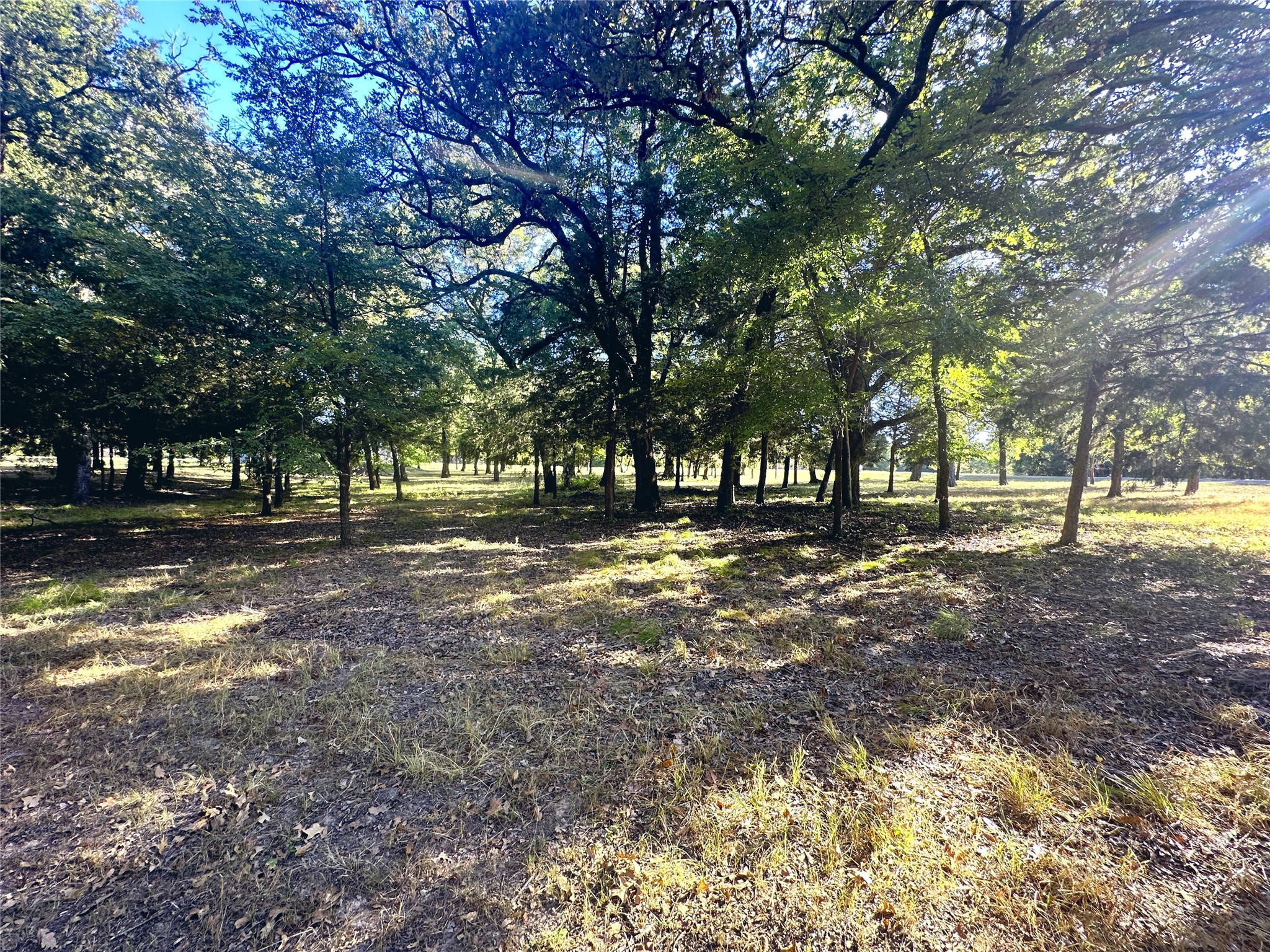 Lot 65 Sombrilla Lane