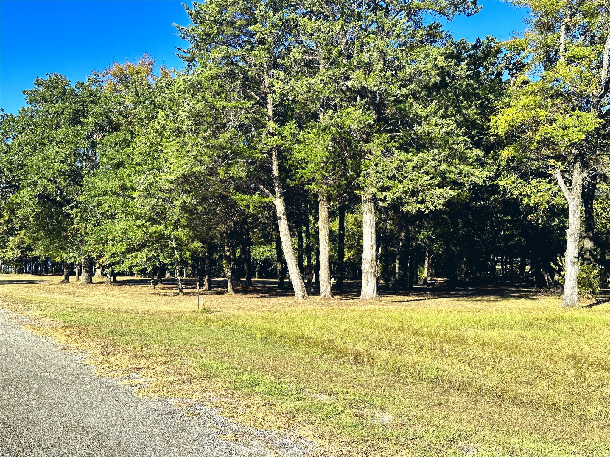 Lot 65 Sombrilla Lane