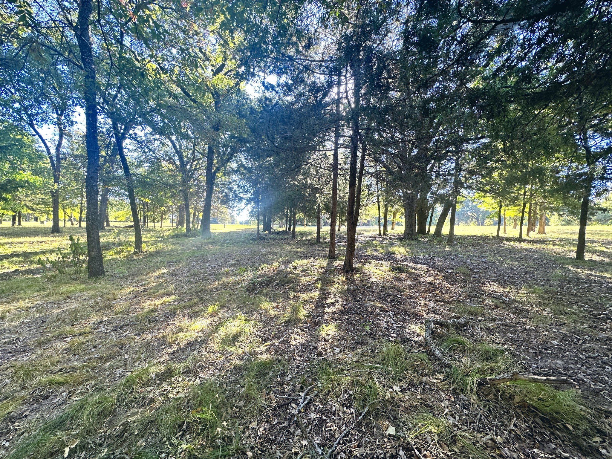 Lot 65 Sombrilla Lane