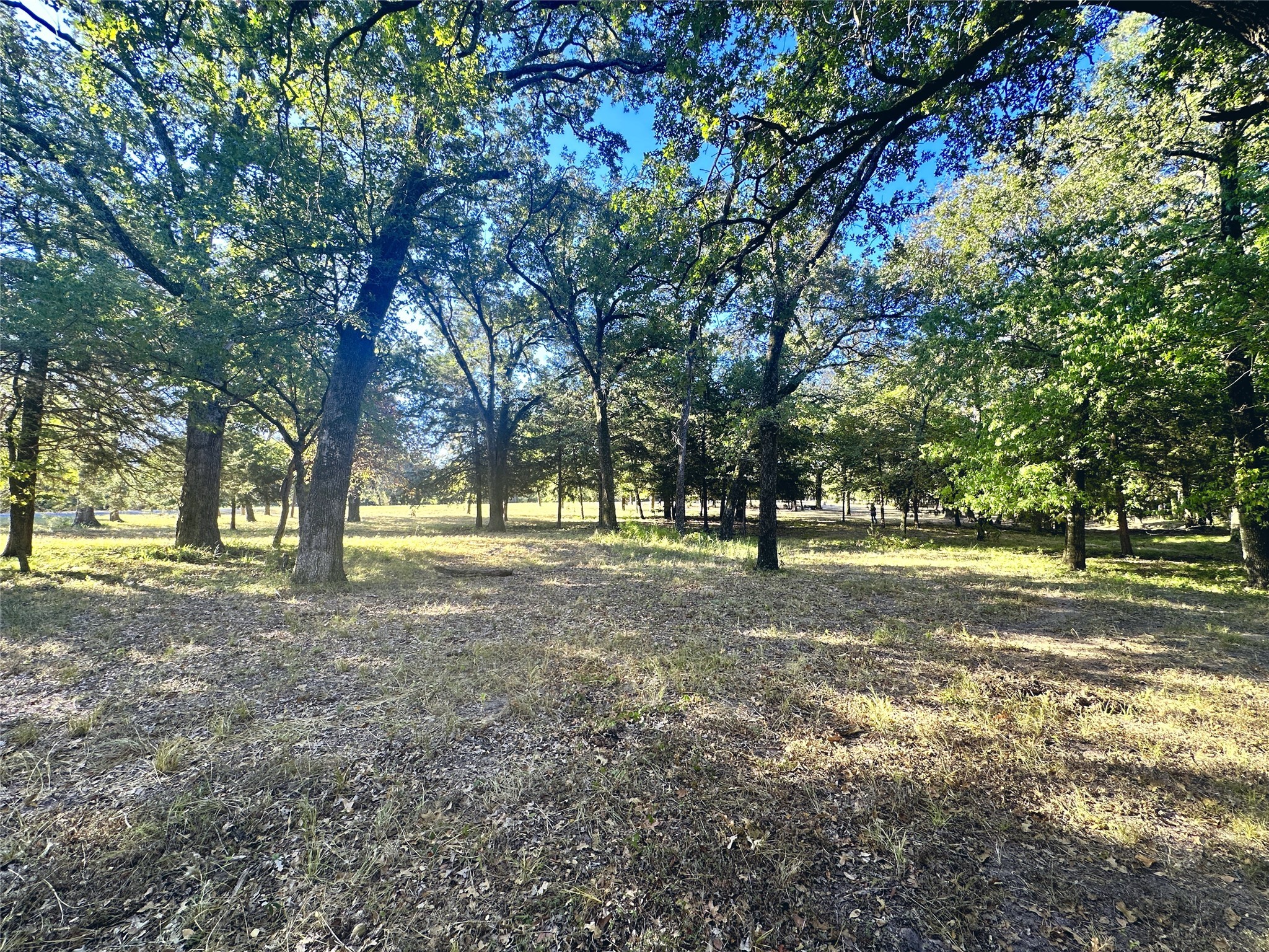 Lot 65 Sombrilla Lane