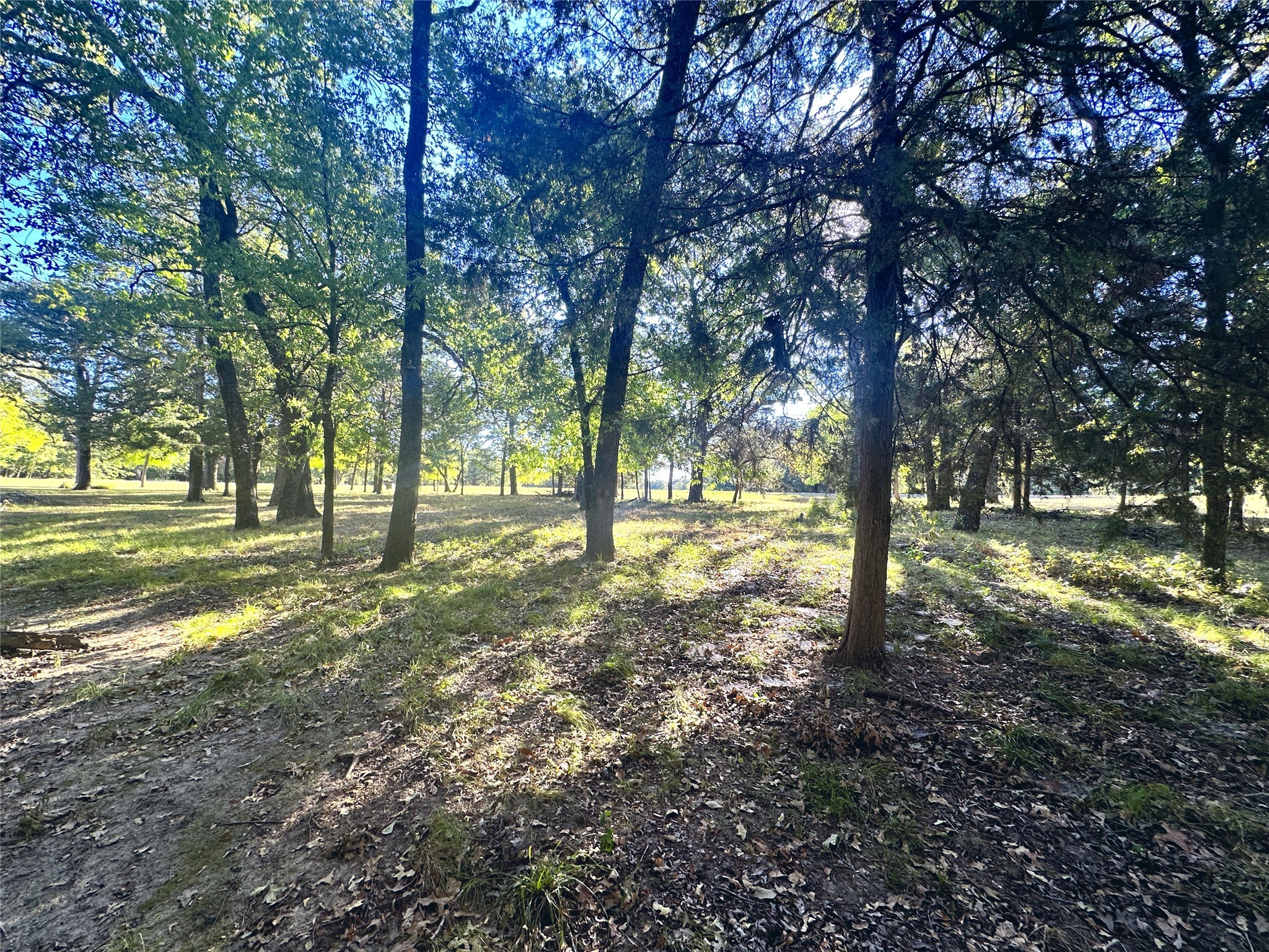 Lot 65 Sombrilla Lane