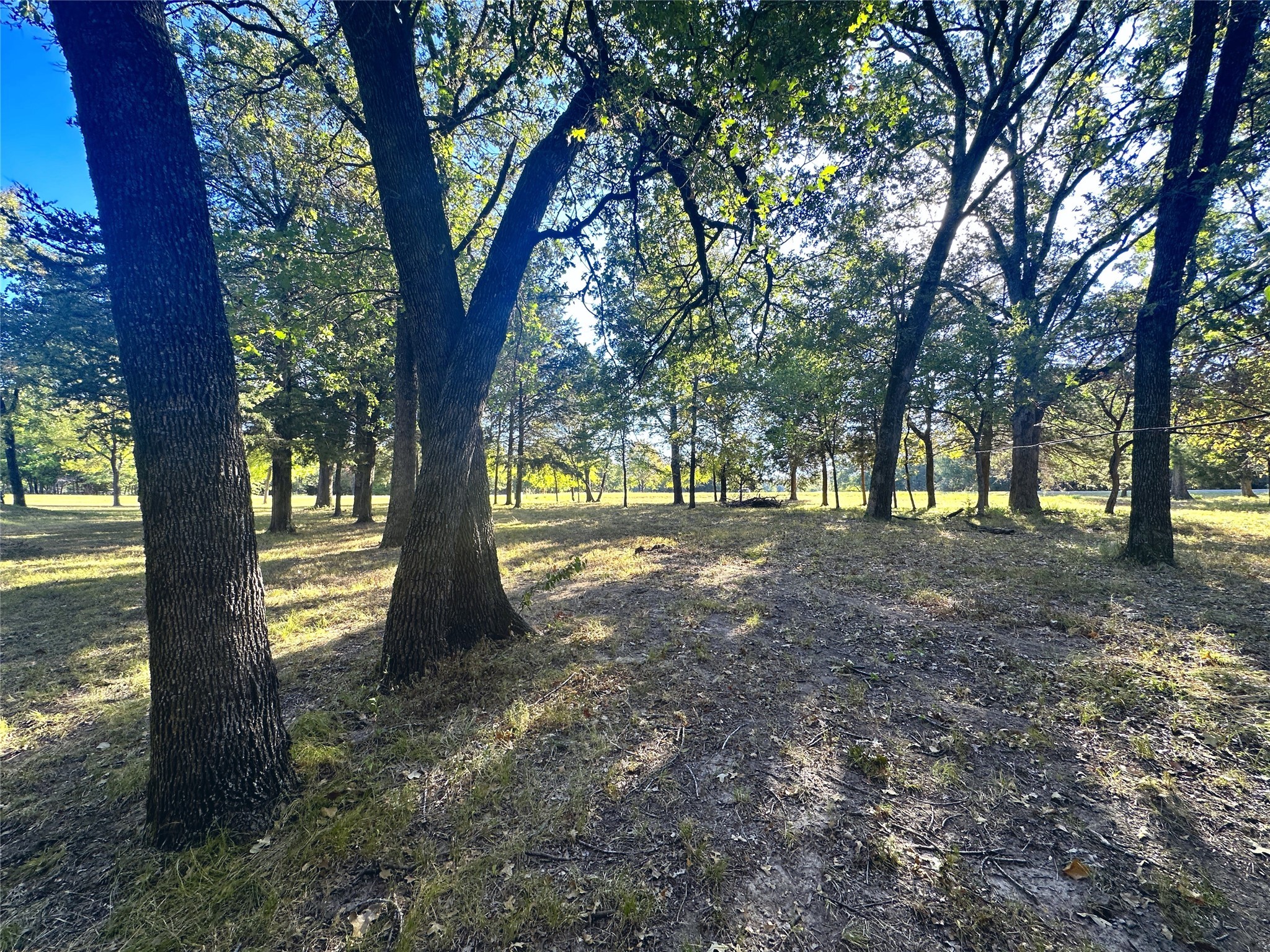 Lot 65 Sombrilla Lane