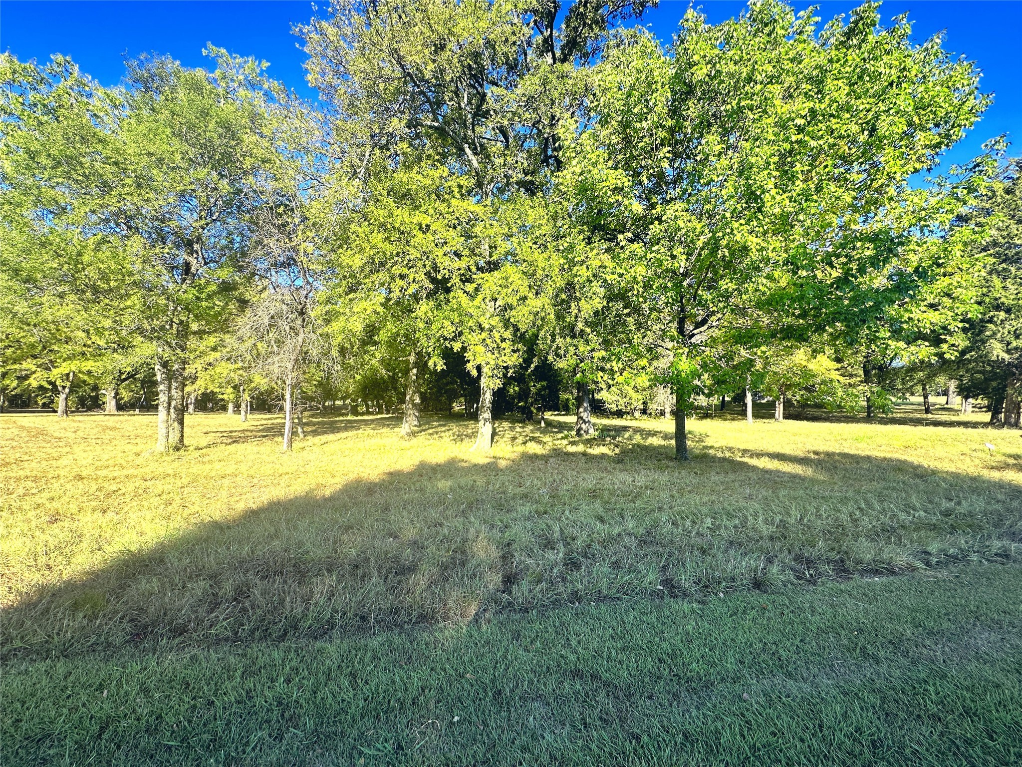 Lot 65 Sombrilla Lane