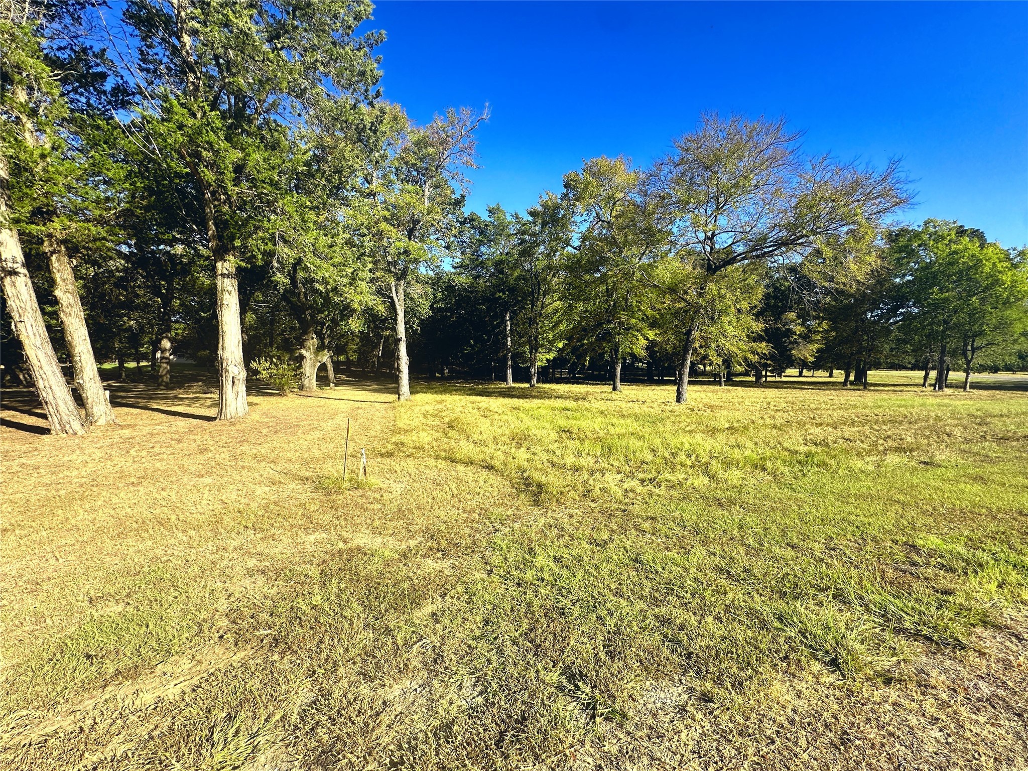 Lot 65 Sombrilla Lane