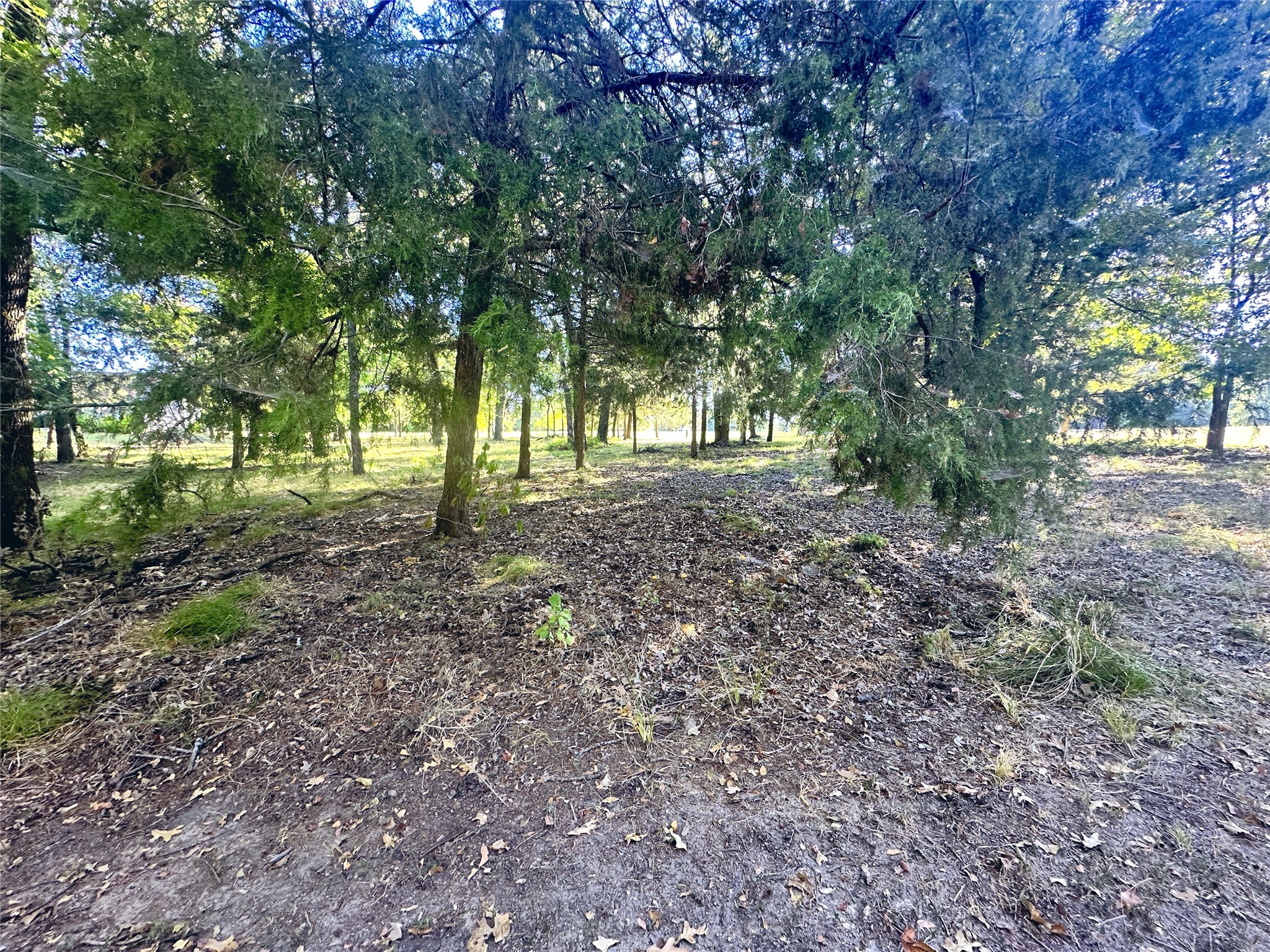 Lot 65 Sombrilla Lane