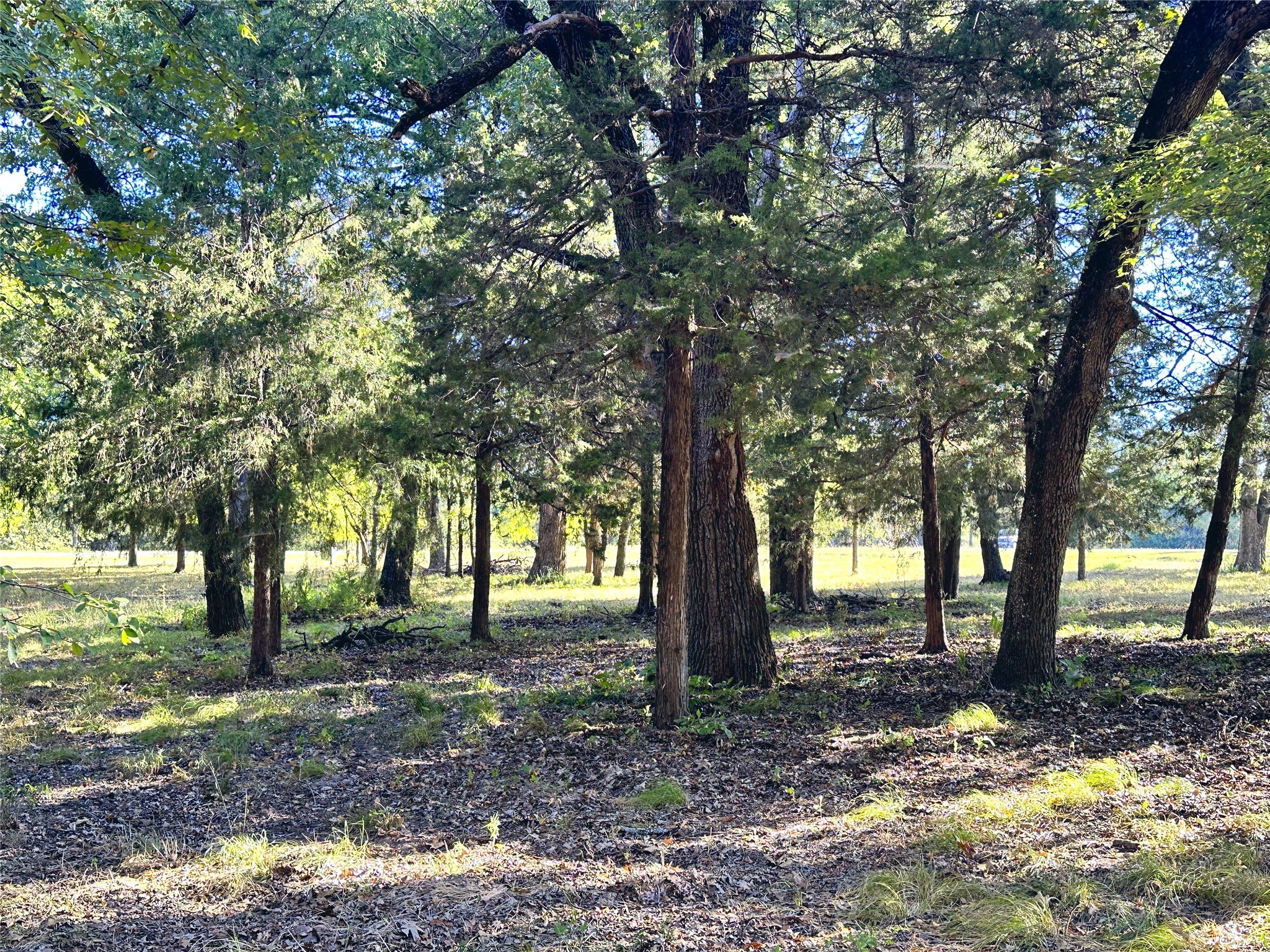 Lot 65 Sombrilla Lane