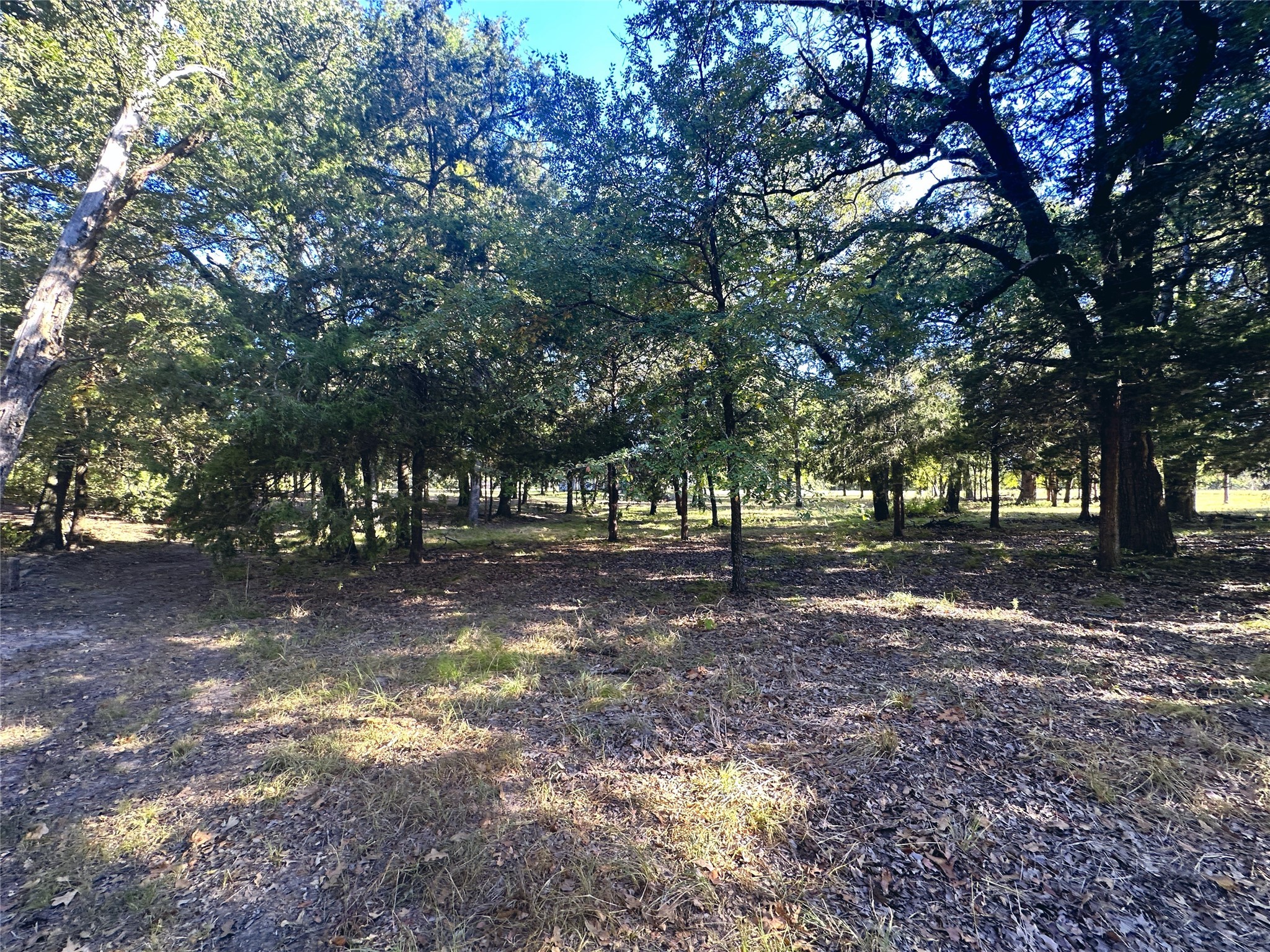 Lot 65 Sombrilla Lane