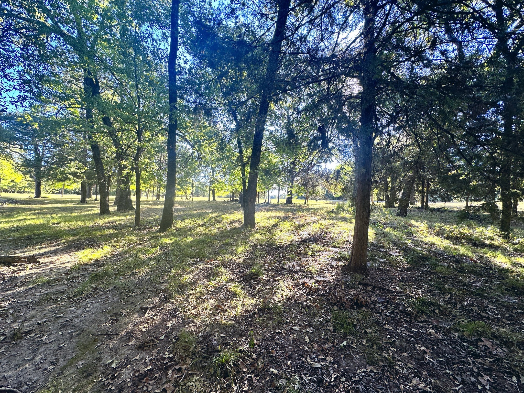 Lot 65 Sombrilla Lane