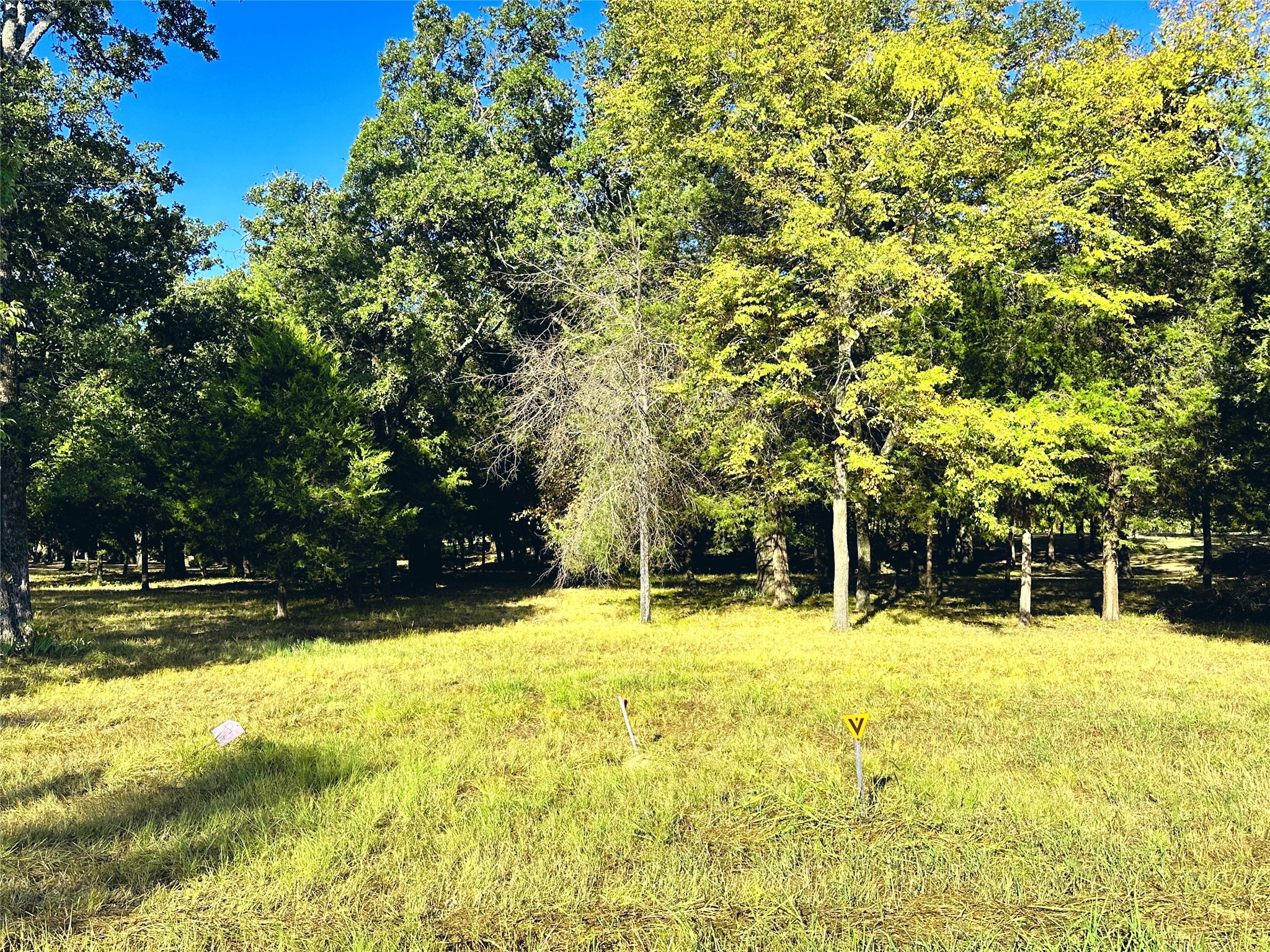 Lot 65 Sombrilla Lane