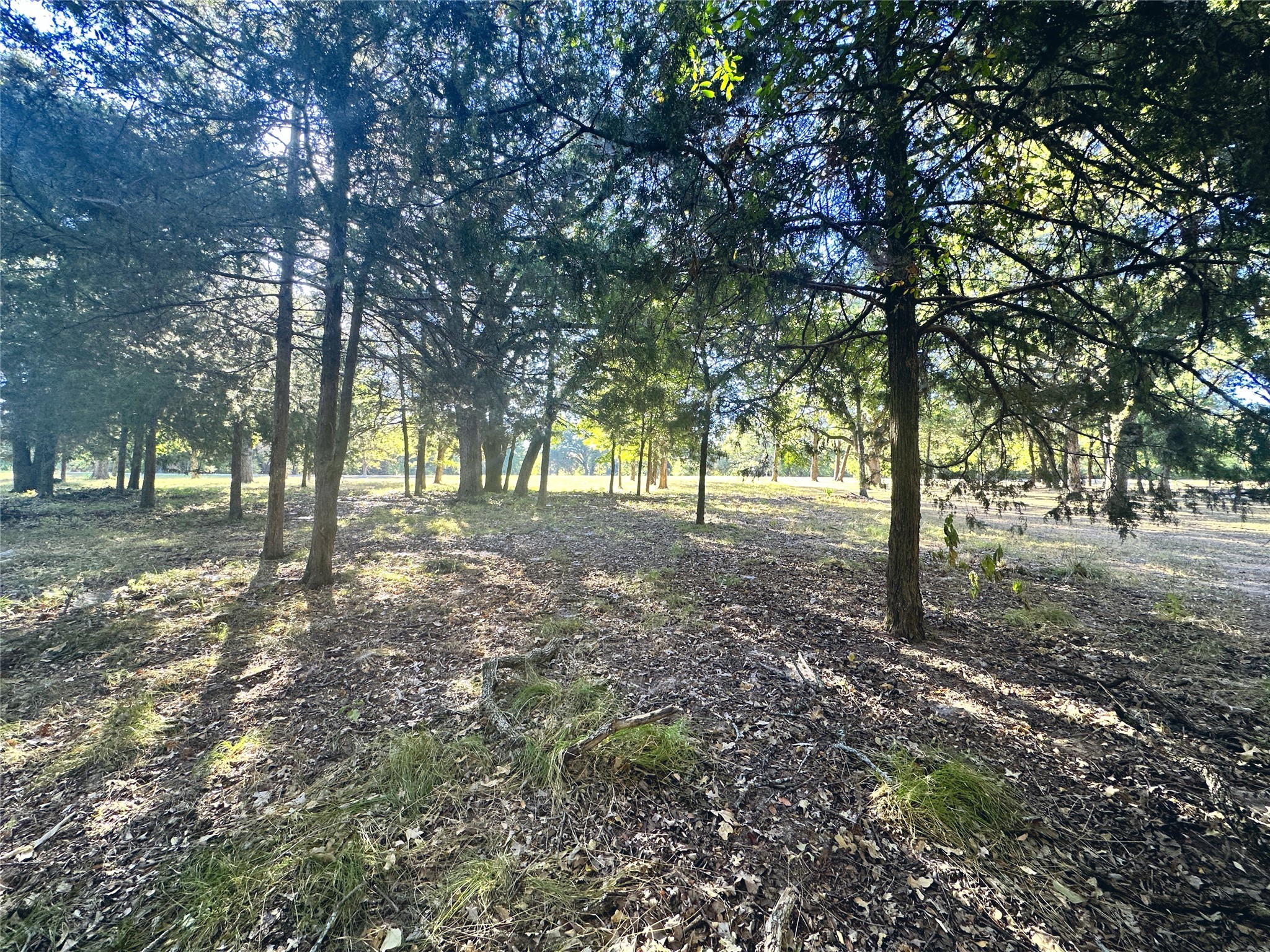 Lot 65 Sombrilla Lane