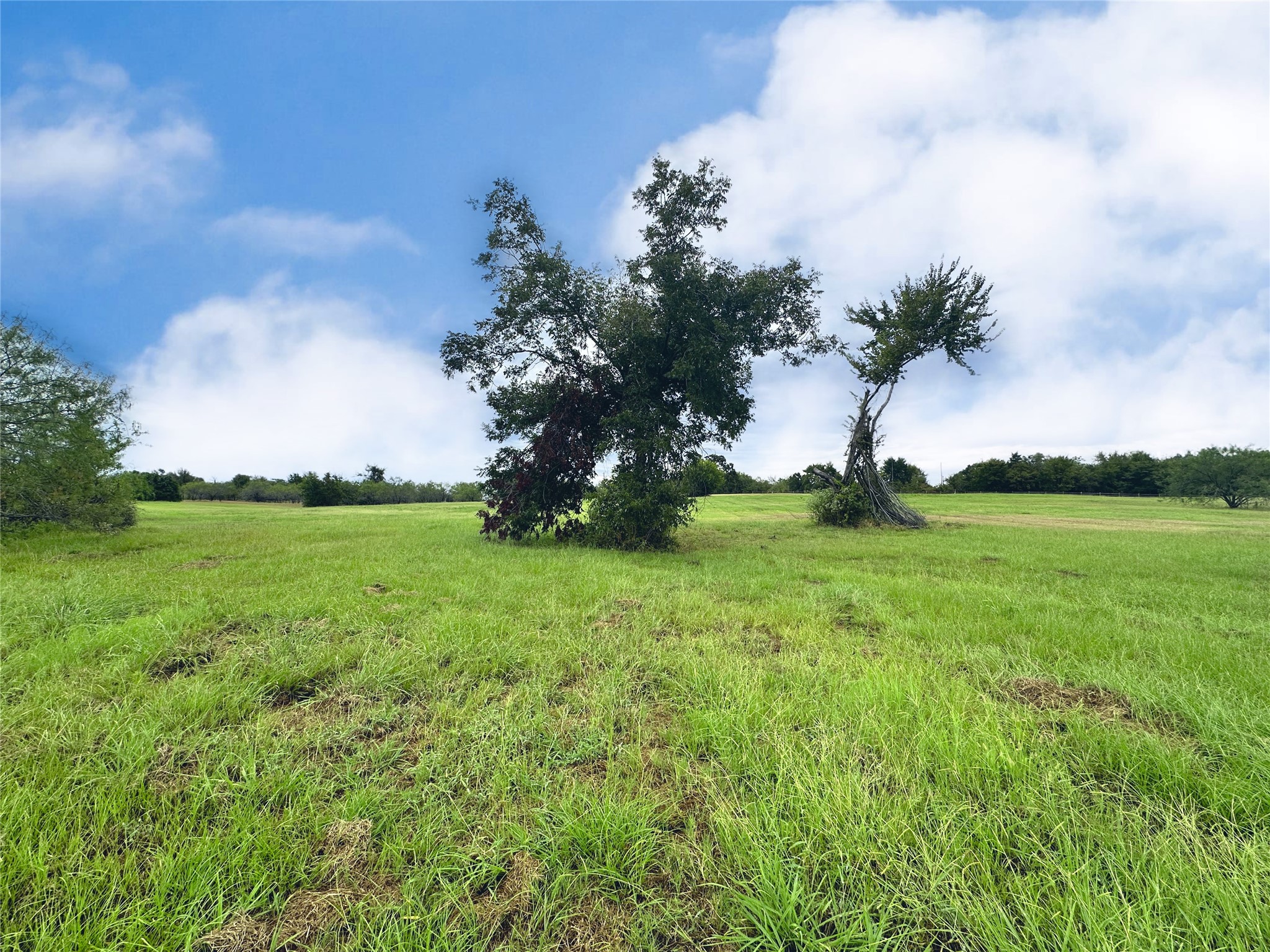 Lot 131 Lake Vista Drive