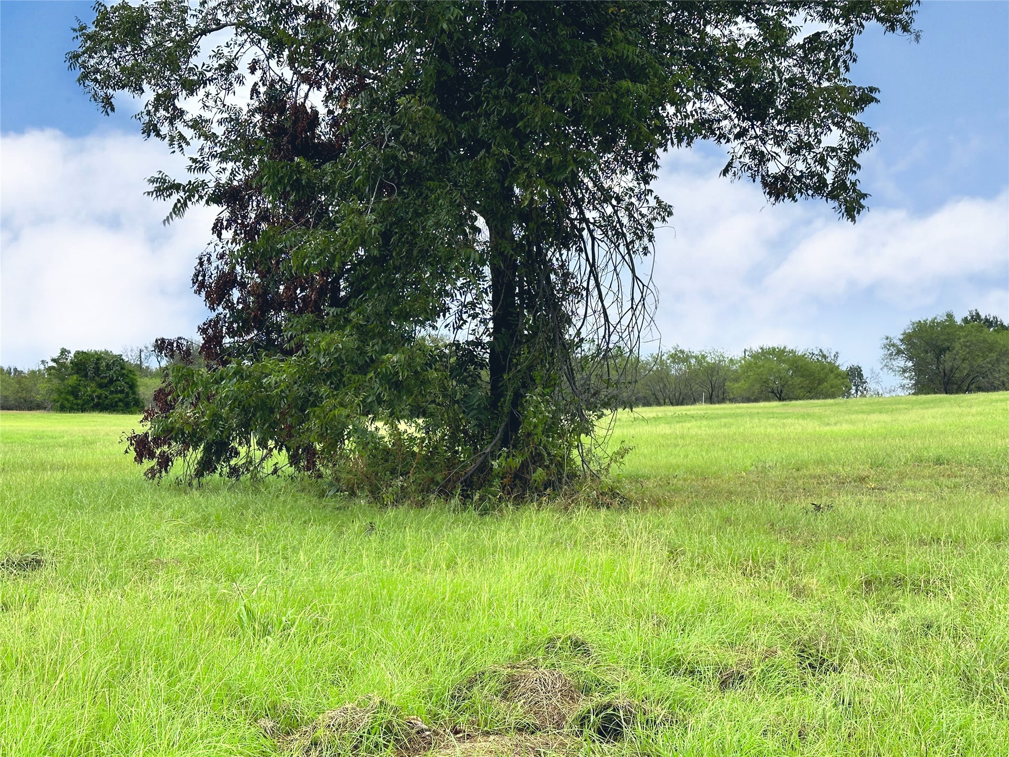 Lot 131 Lake Vista Drive
