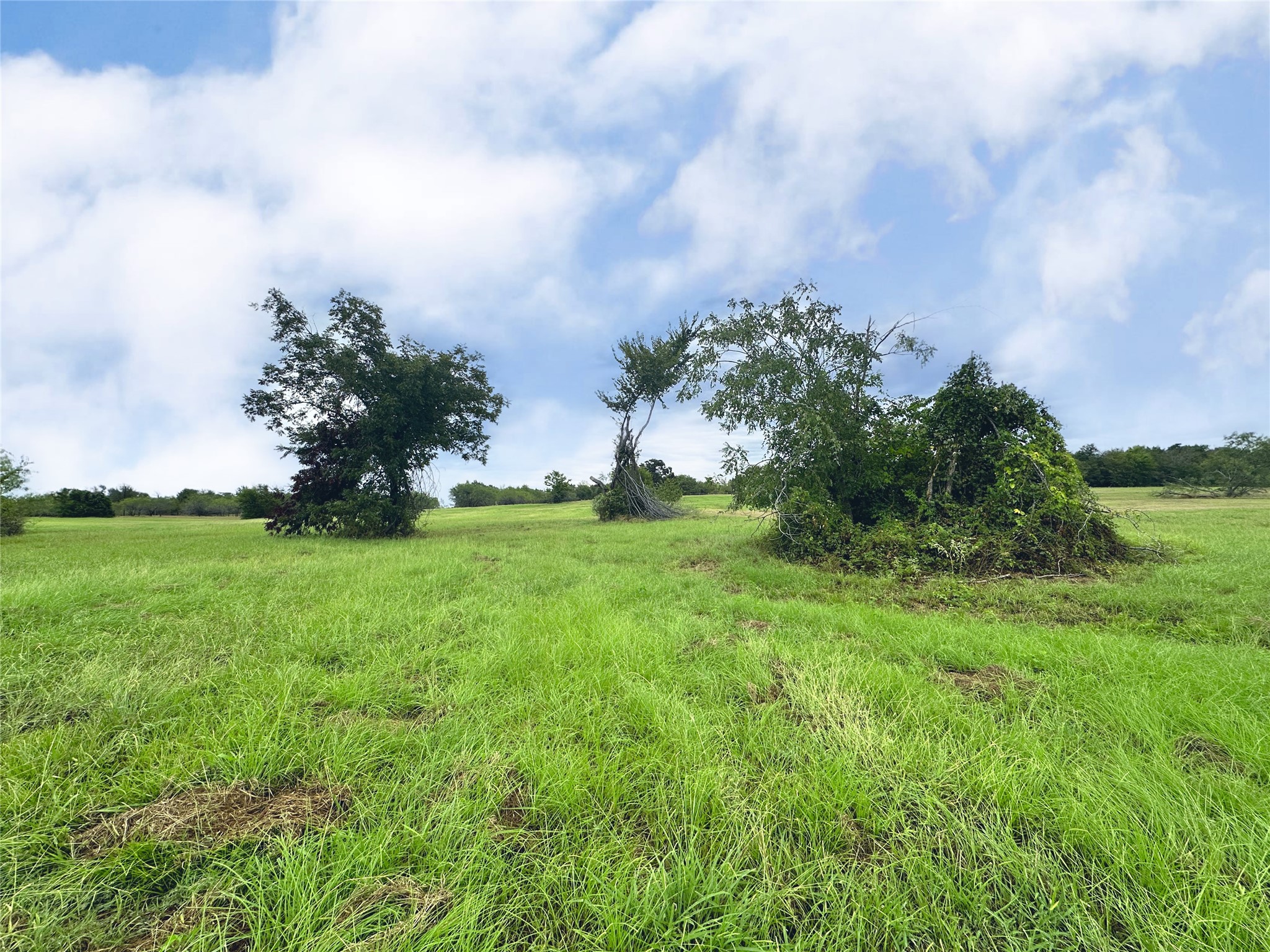 Lot 131 Lake Vista Drive
