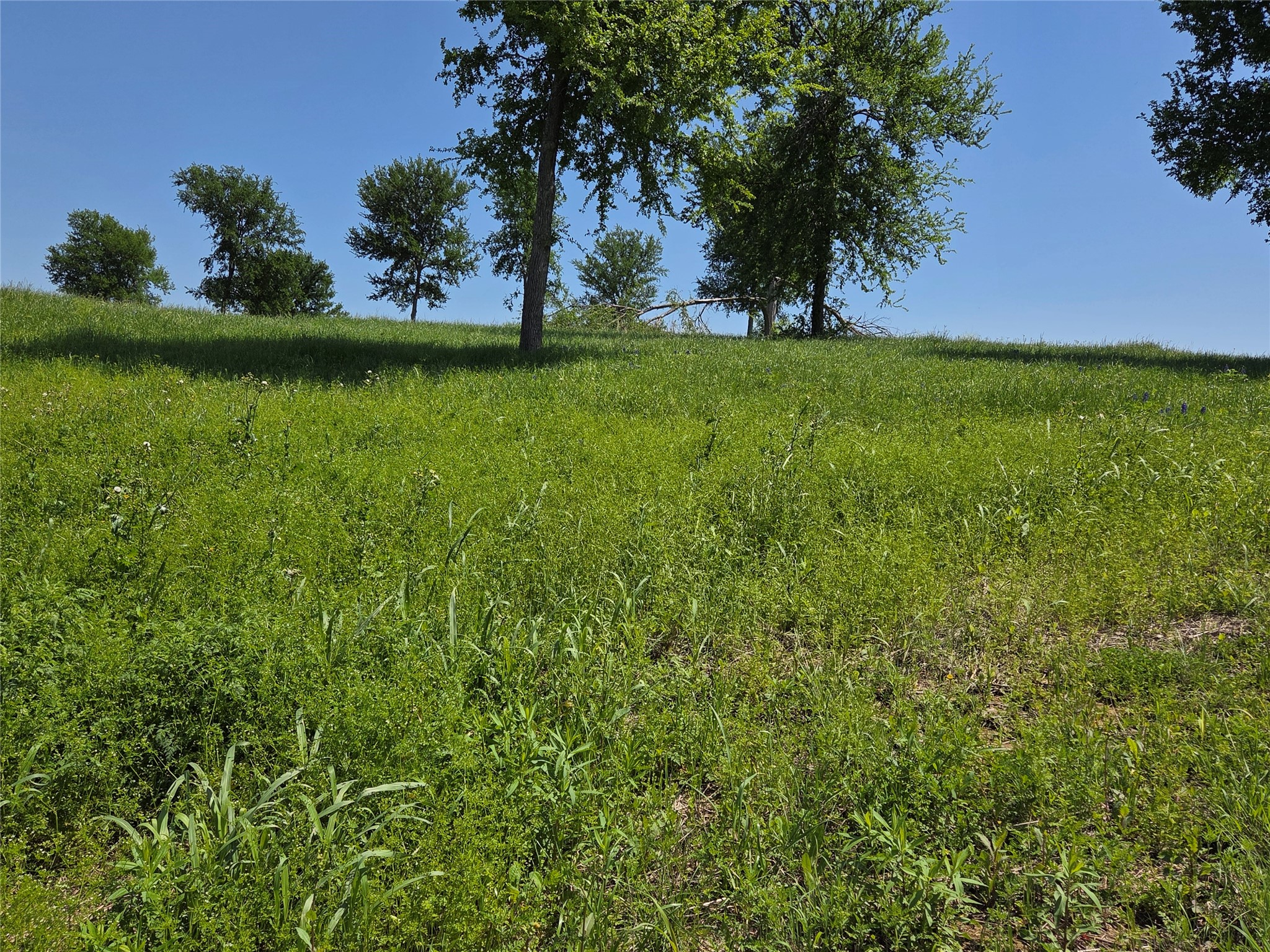 577 Old Peninsula Trail