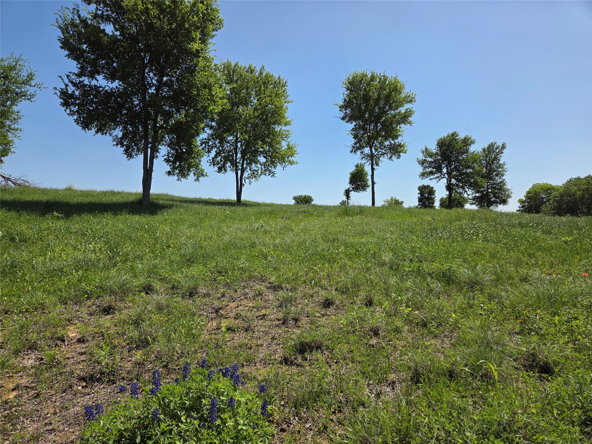 577 Old Peninsula Trail